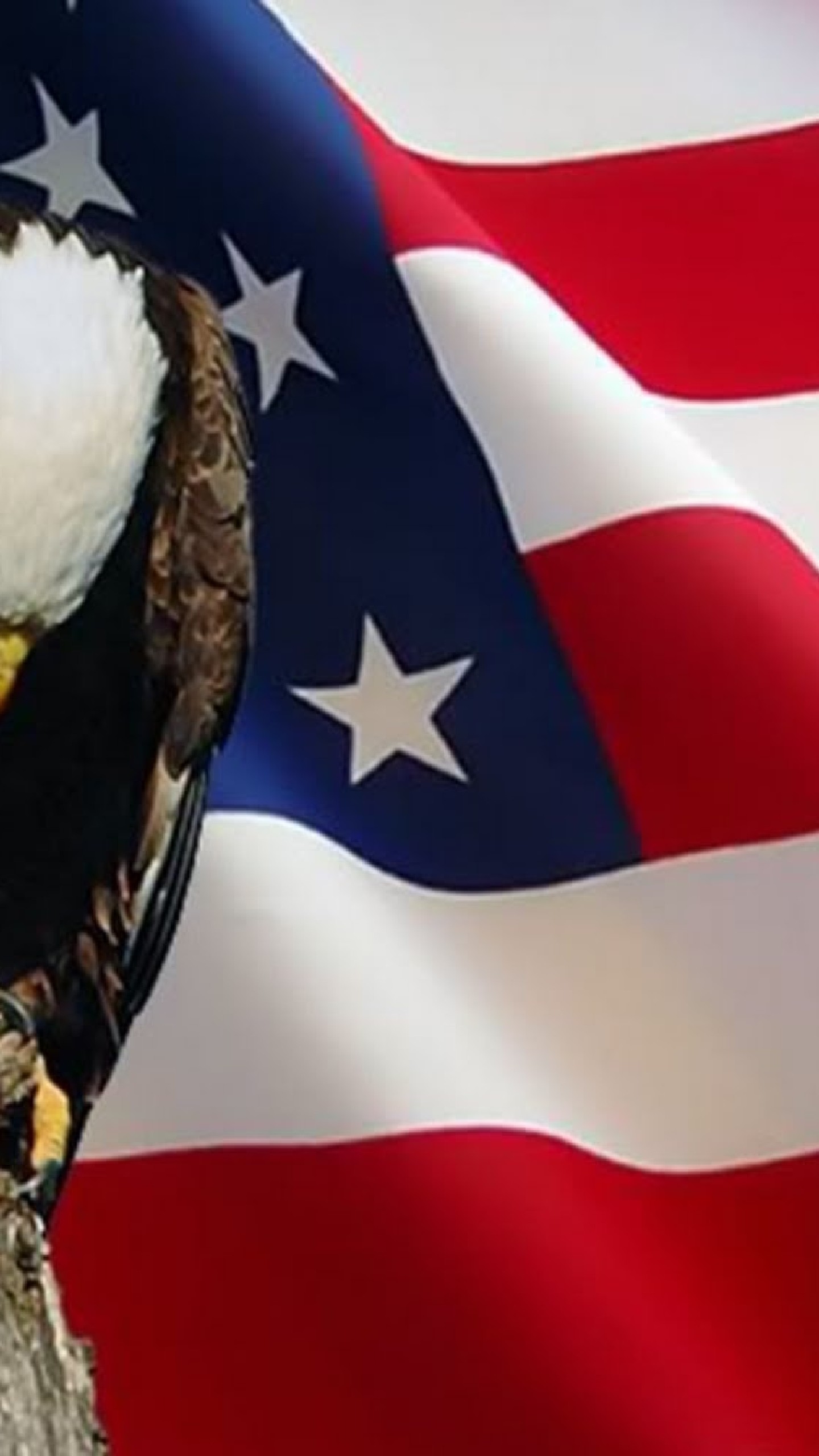 Memorial Day Wallpaper