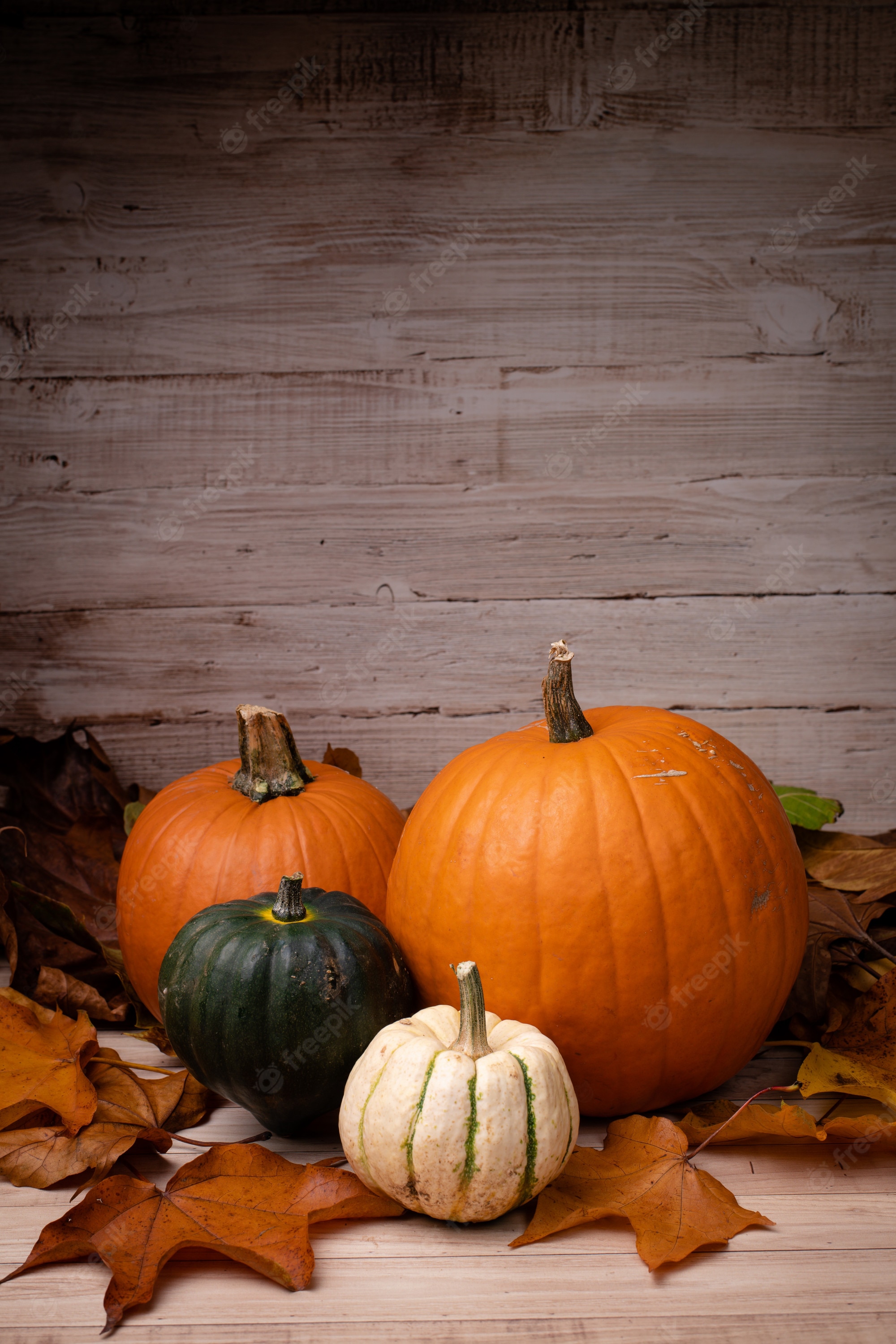 Pumpkin Wallpaper