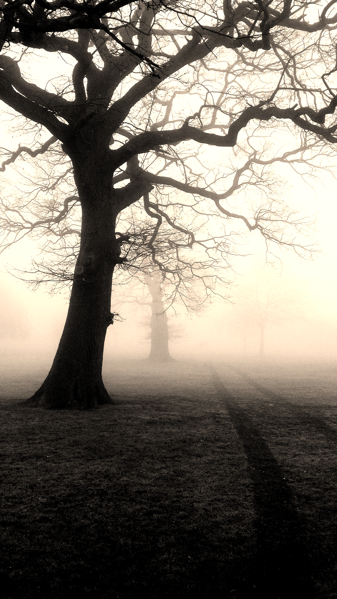 Creepy Wallpaper
