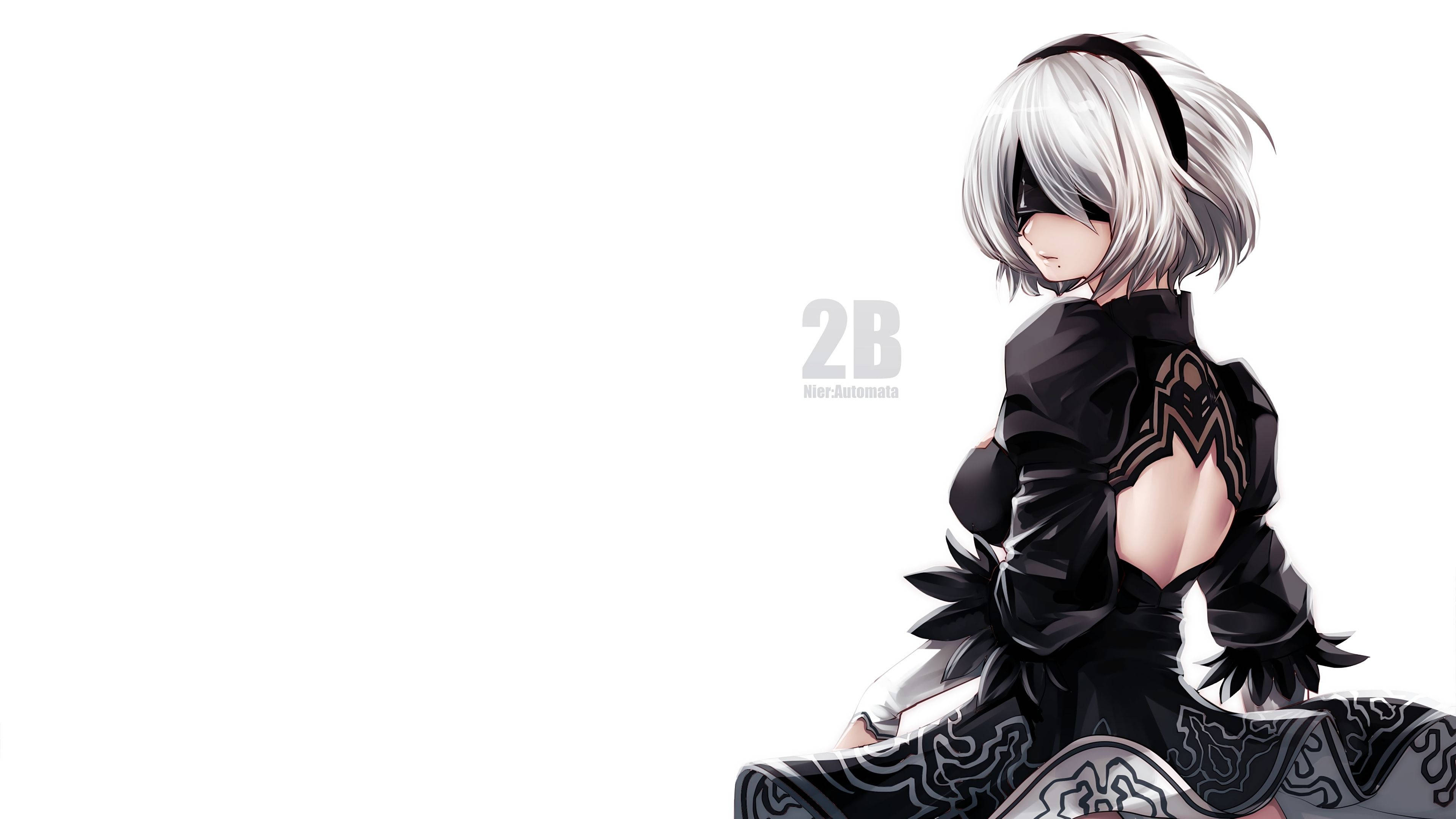 2b wallpaper