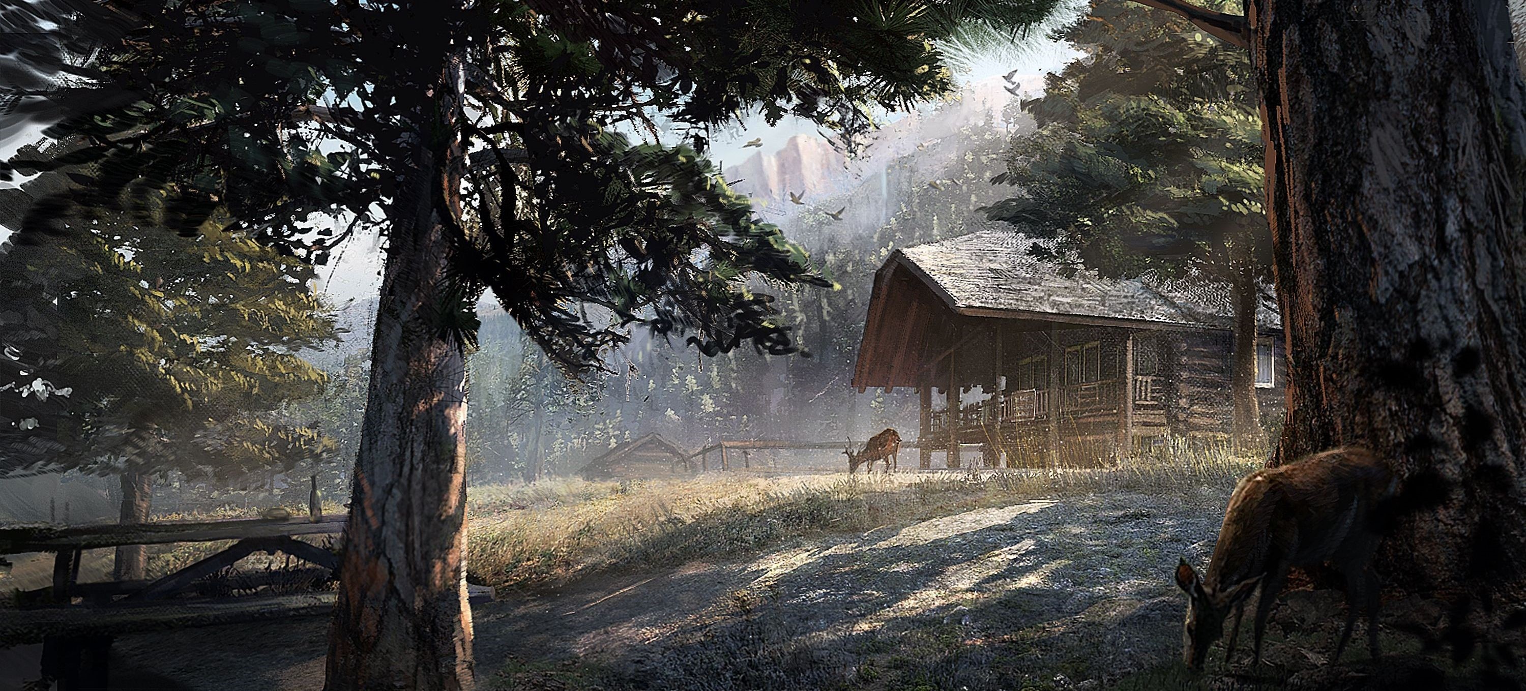far cry 5 wallpaper