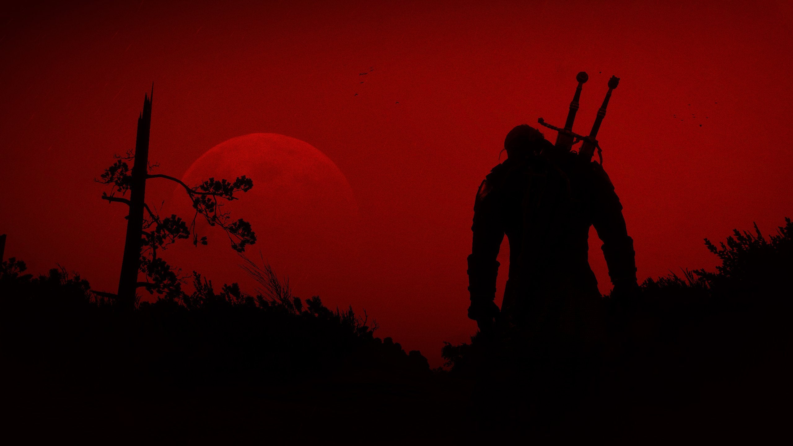 witcher 3 wallpaper