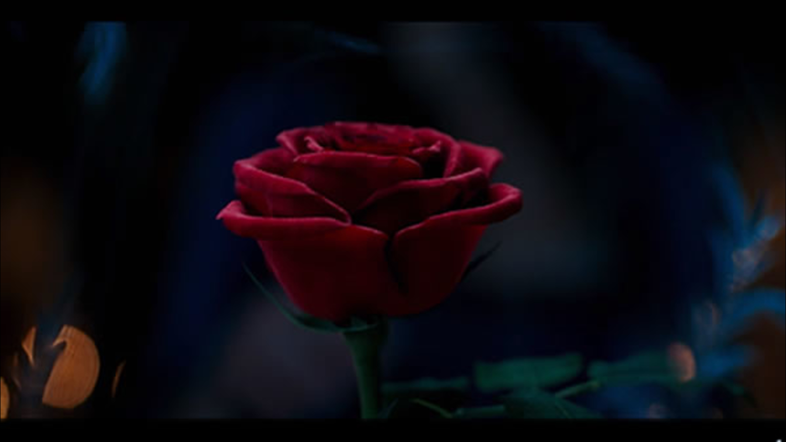 beauty and the beast wallpaper