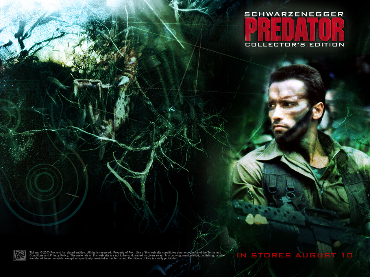 predator wallpaper