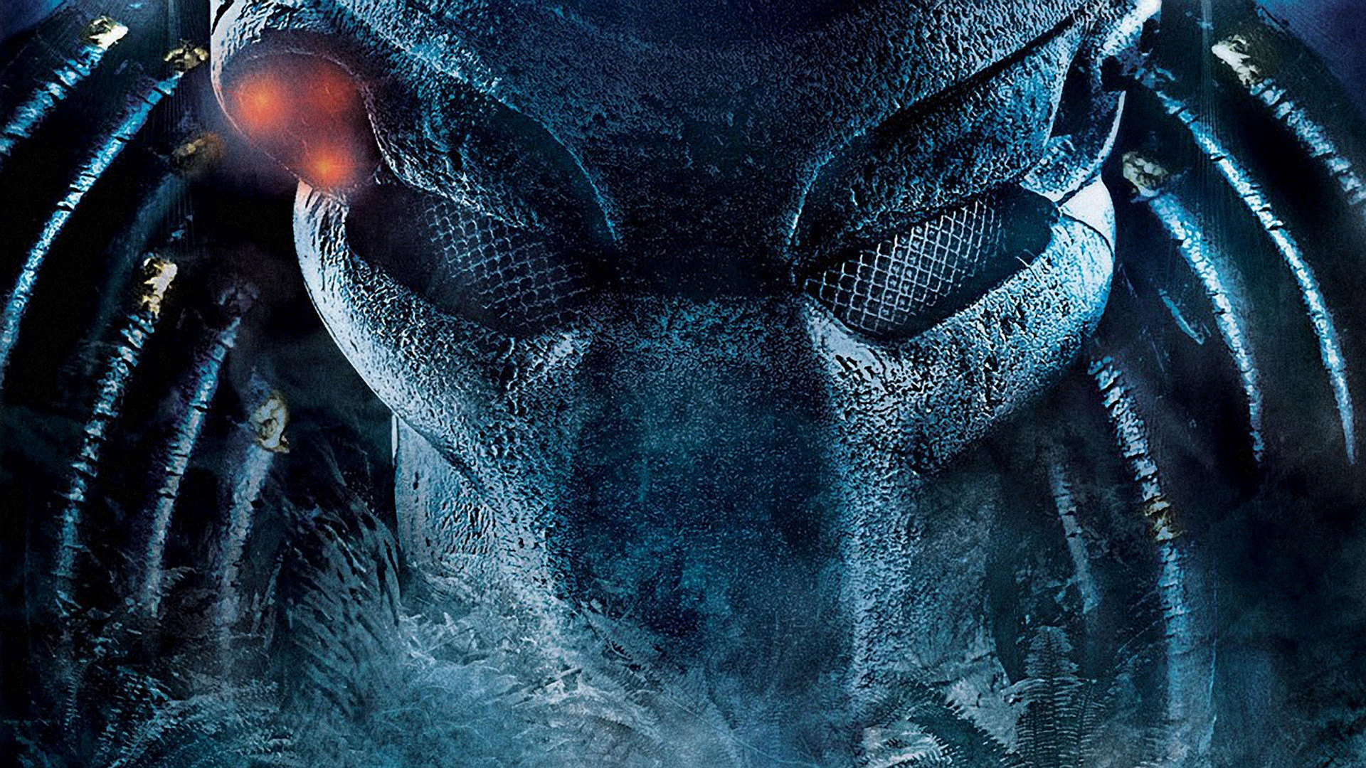 predator wallpaper