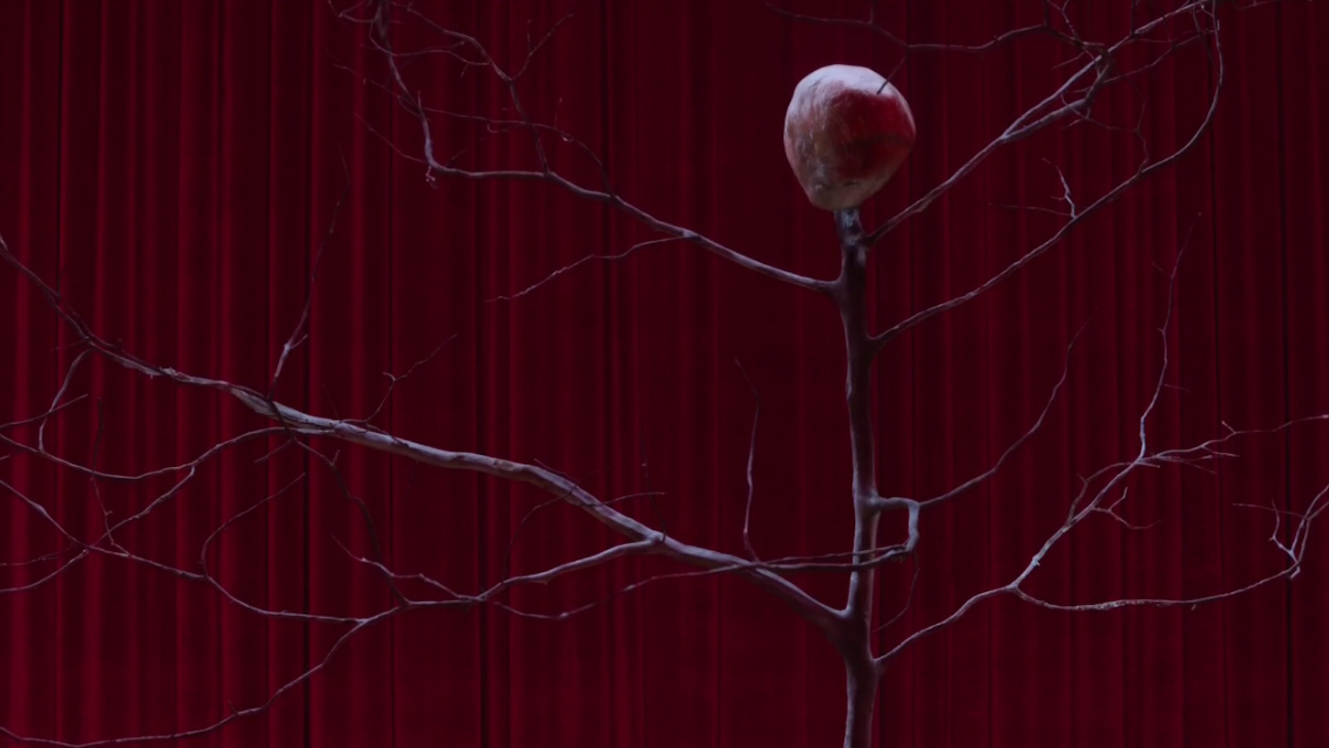 twin peaks wallpaper