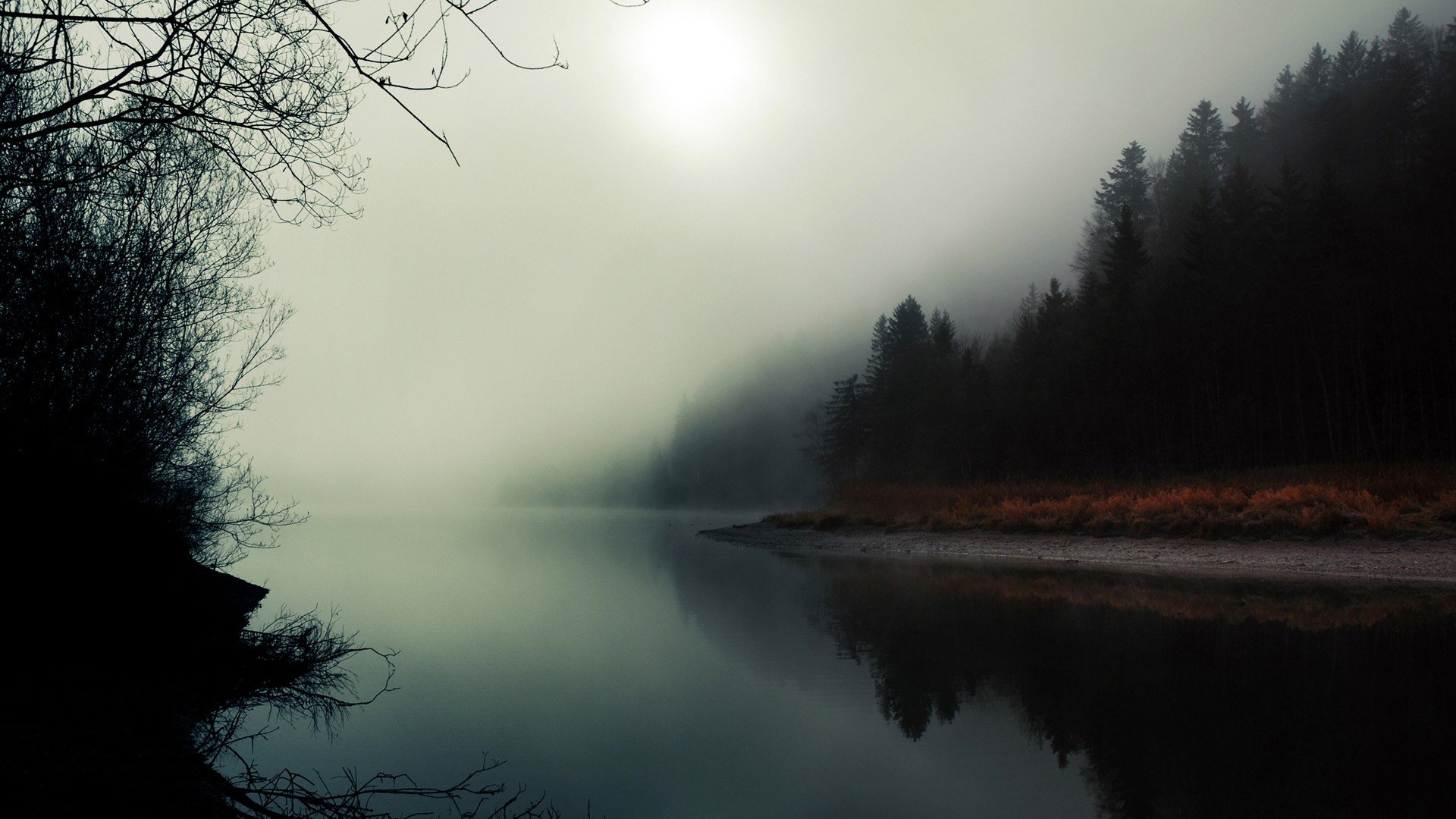 twin peaks wallpaper