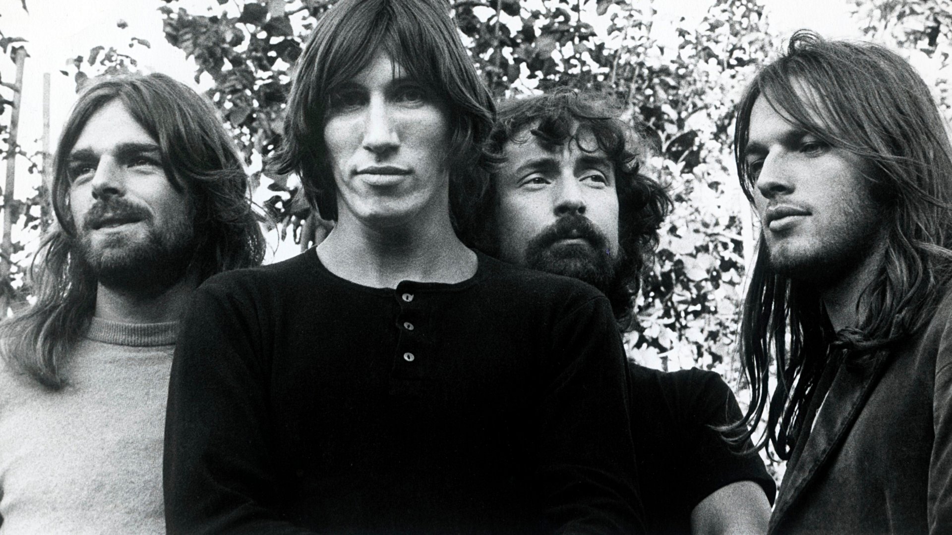 pink floyd wallpaper