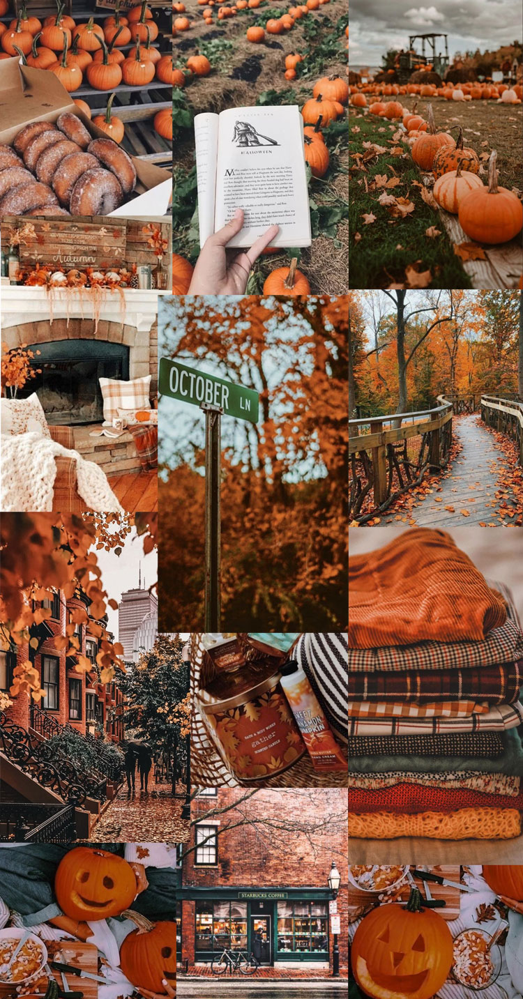 autumn wallpaper