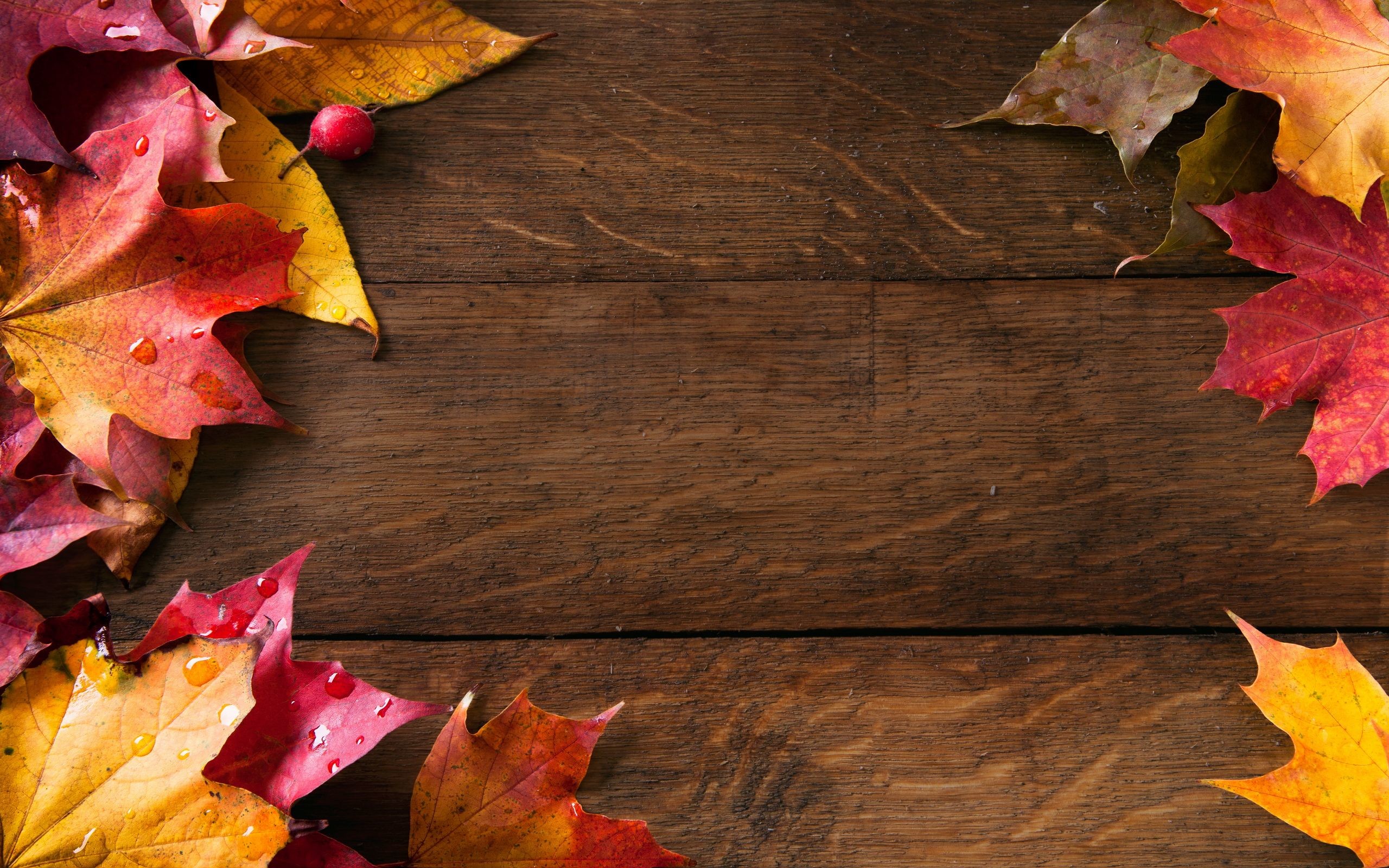 autumn wallpaper