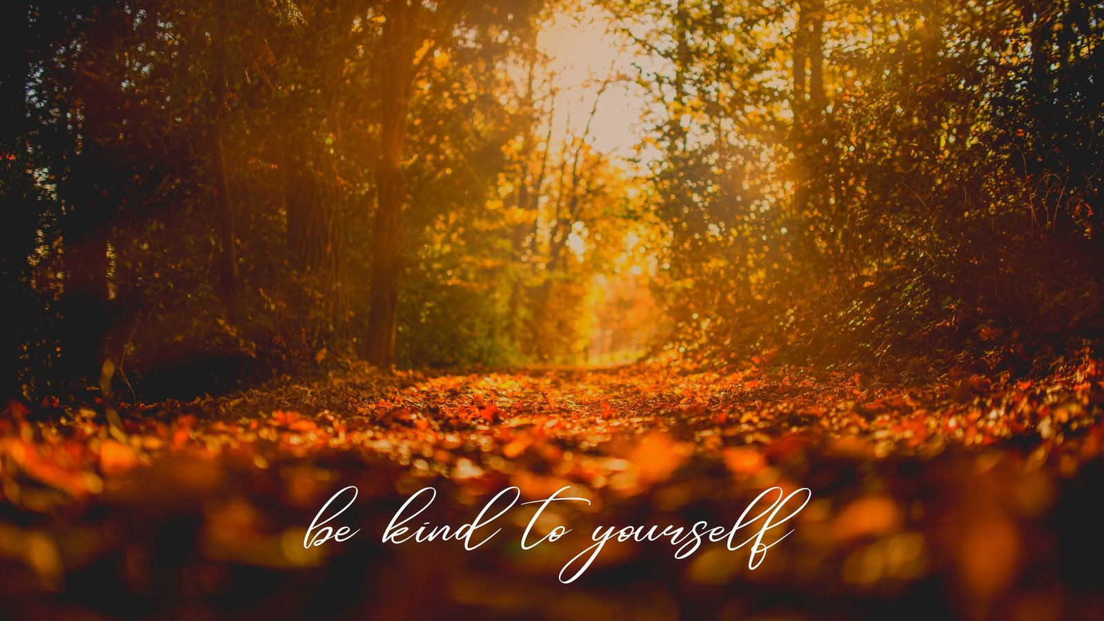 autumn wallpaper