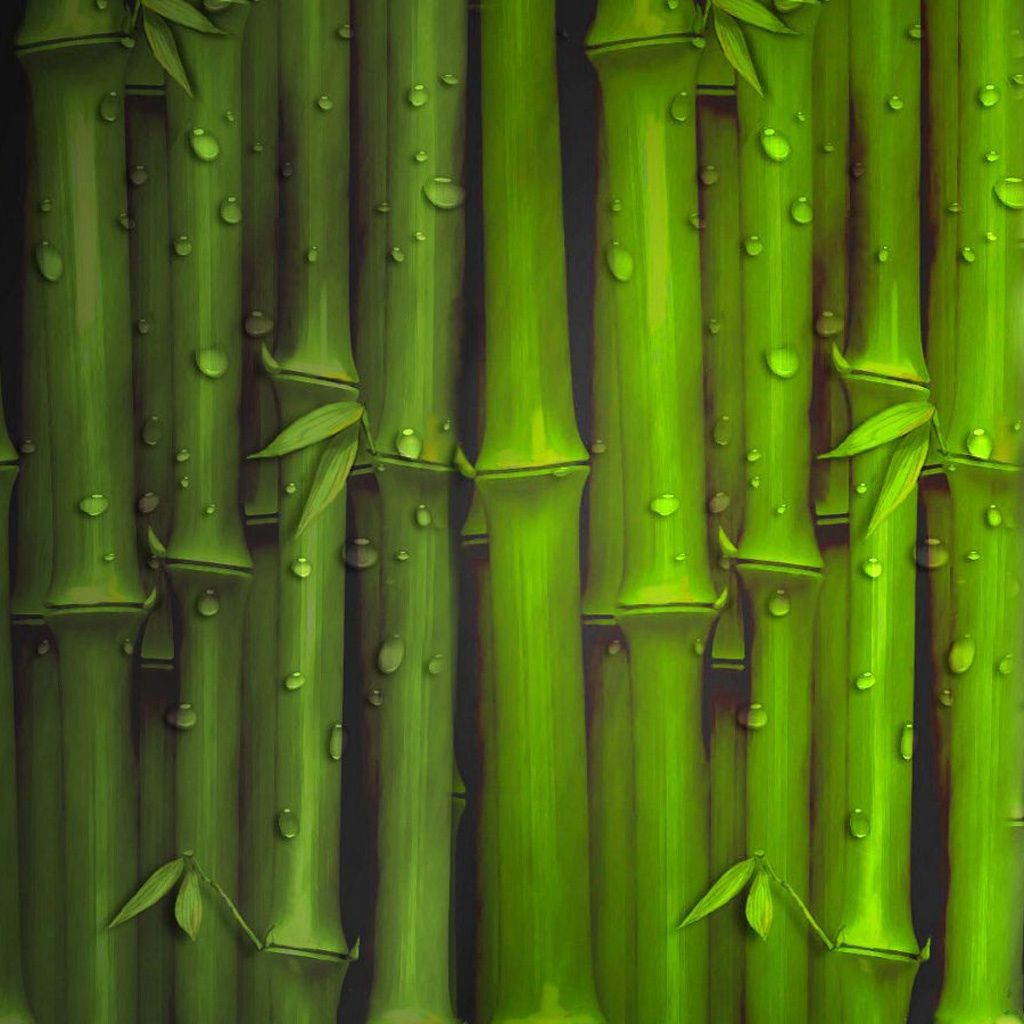 bamboo wallpaper
