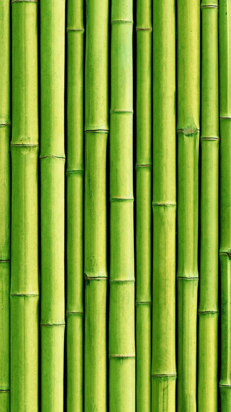 bamboo wallpaper