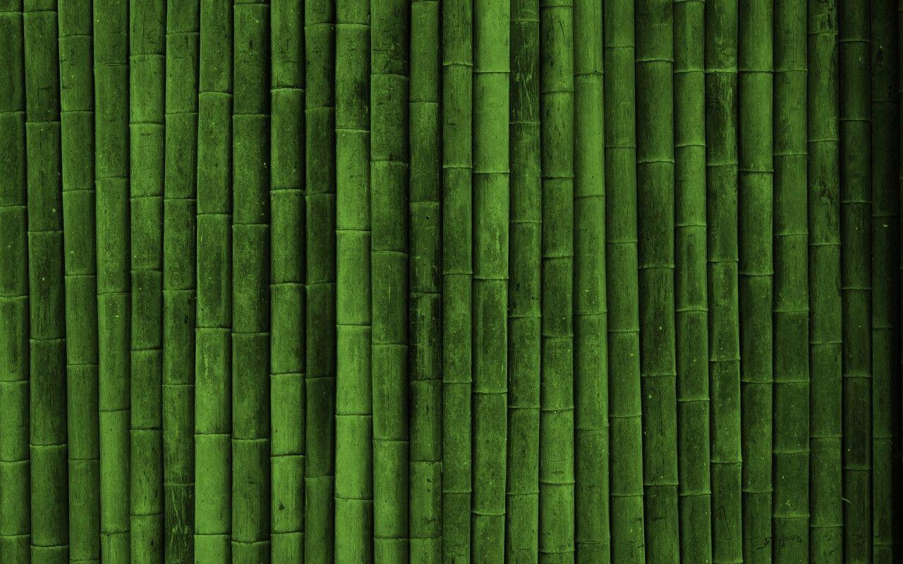 bamboo wallpaper