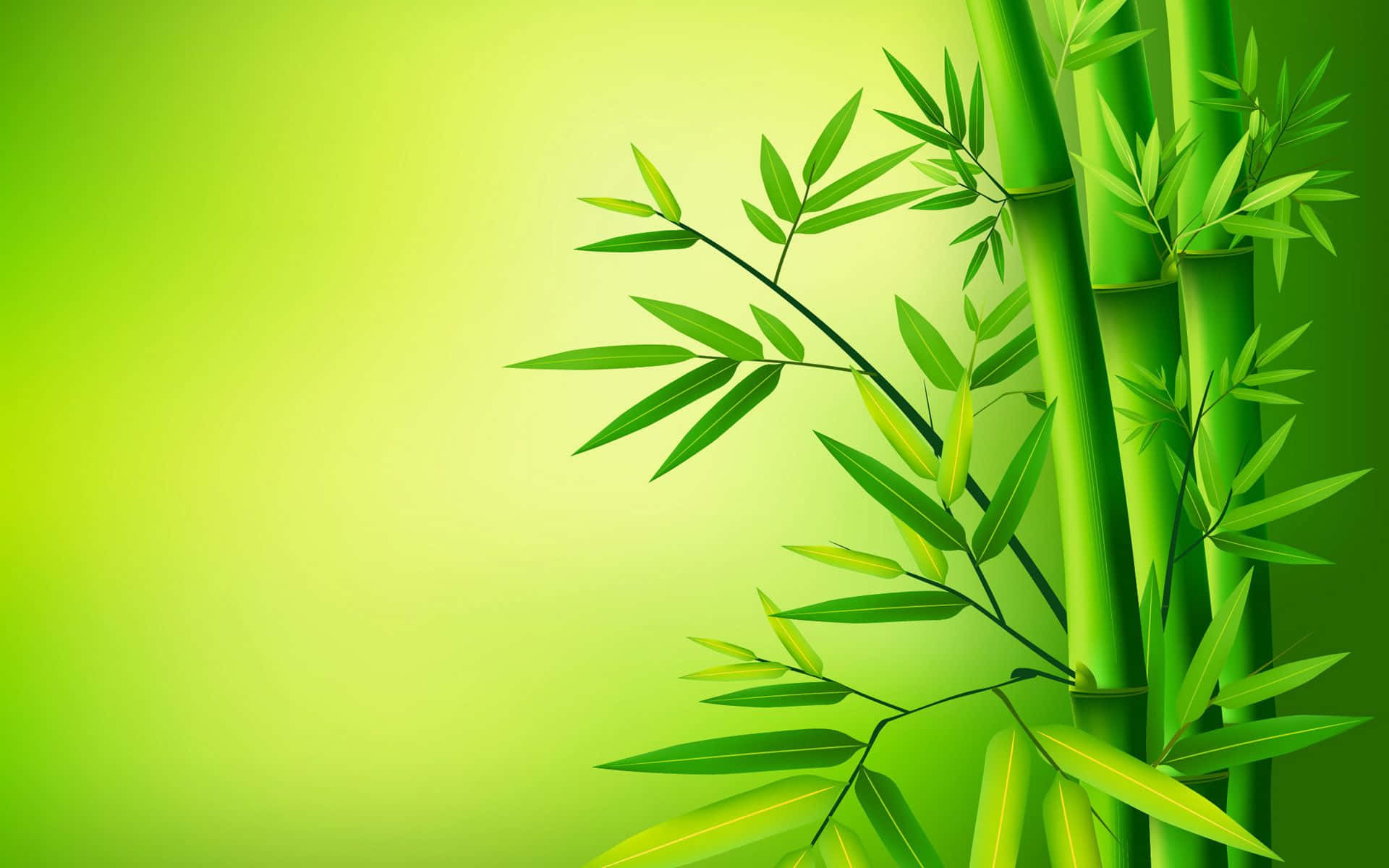 bamboo wallpaper