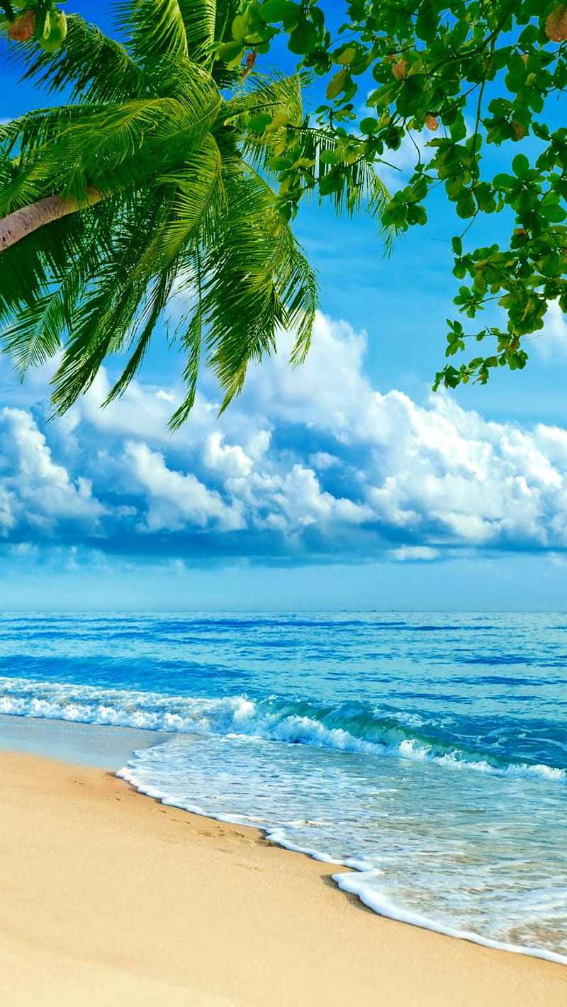 beach wallpaper