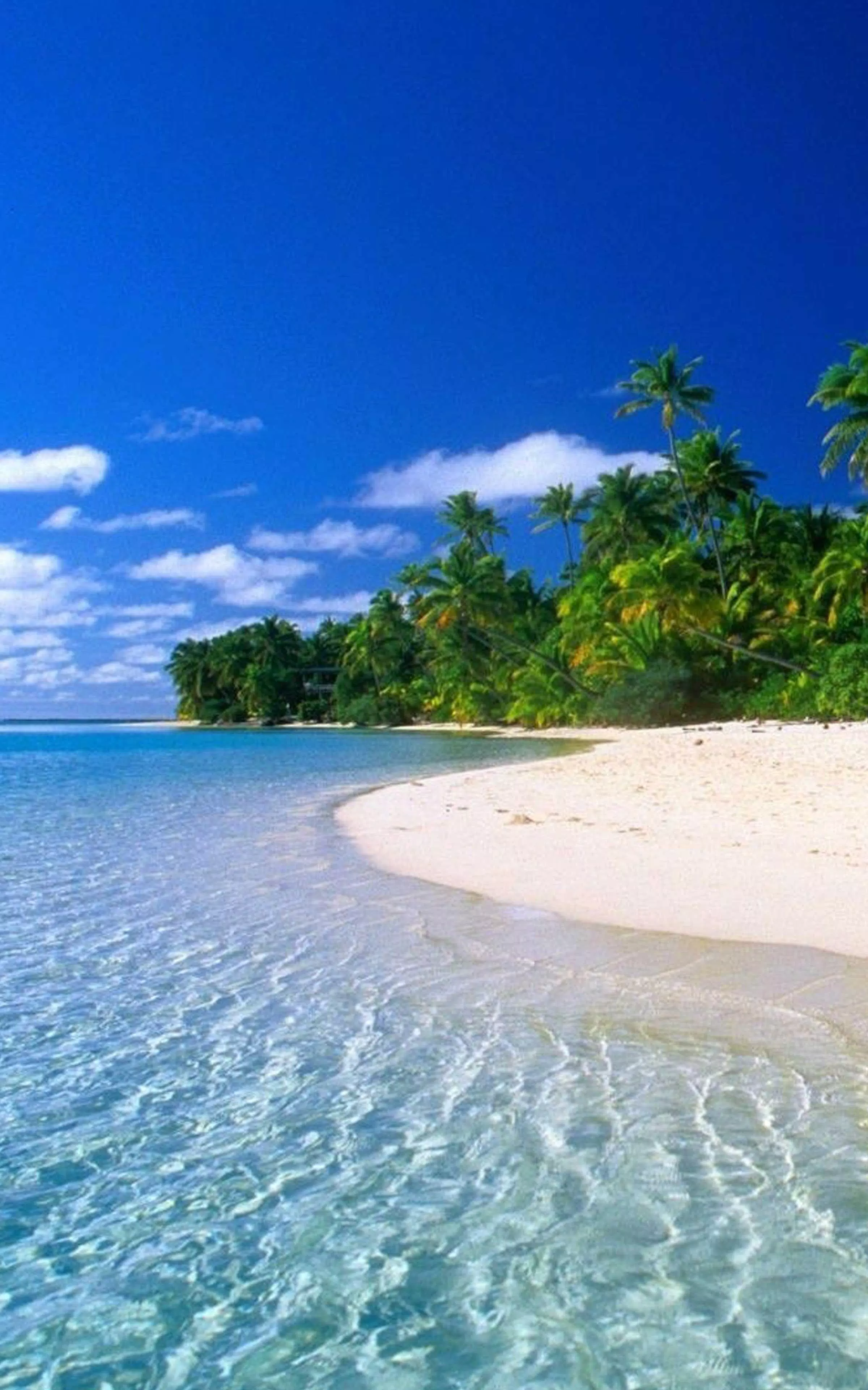 beach wallpaper