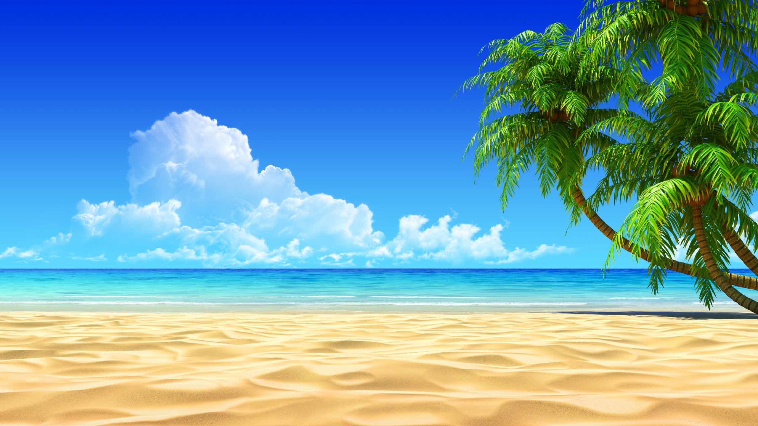 beach wallpaper