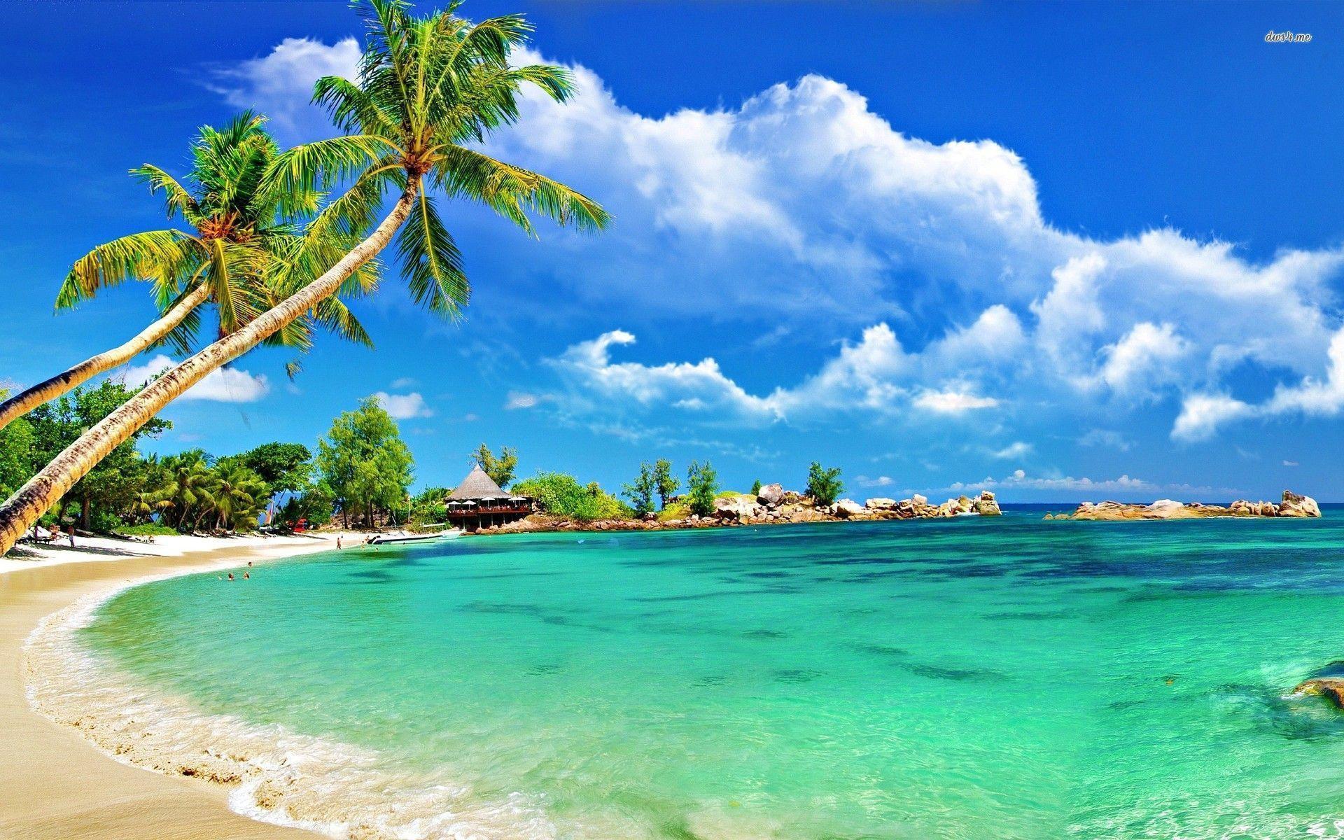 beach wallpaper