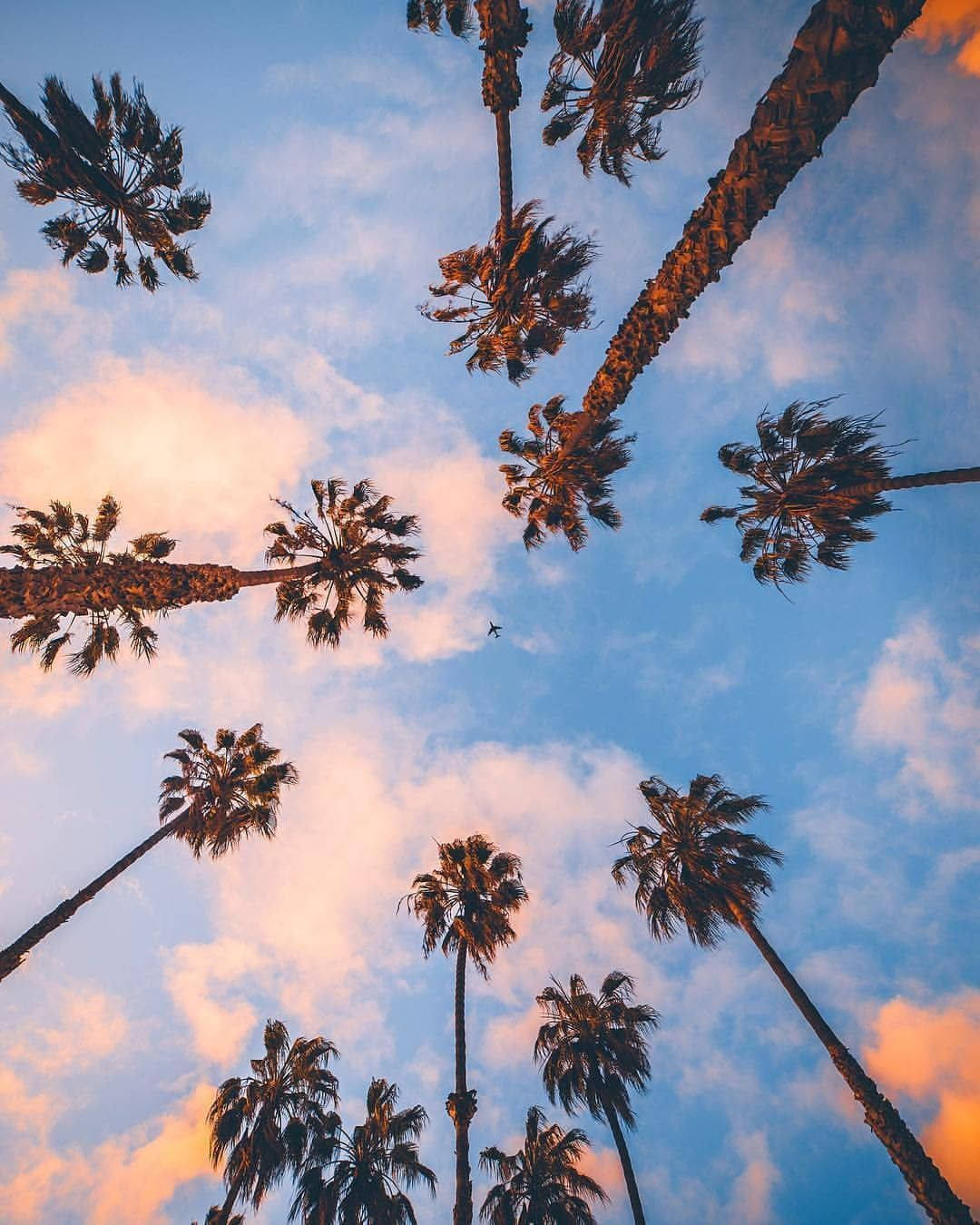 california wallpaper