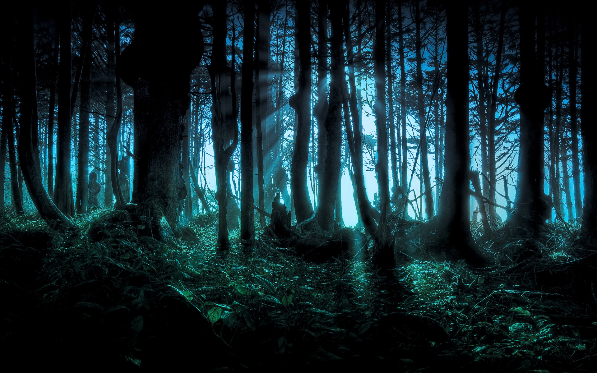 dark forest wallpaper