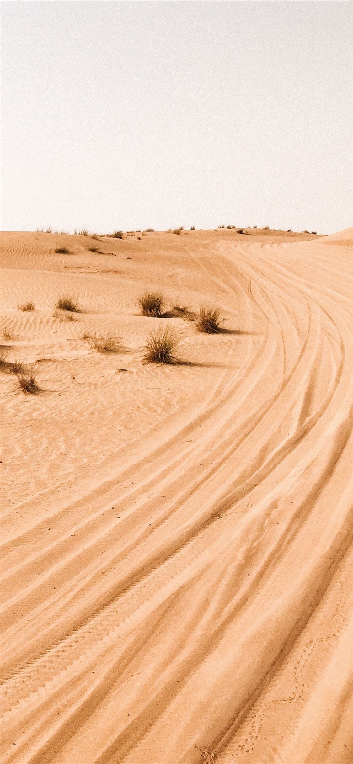 desert wallpaper