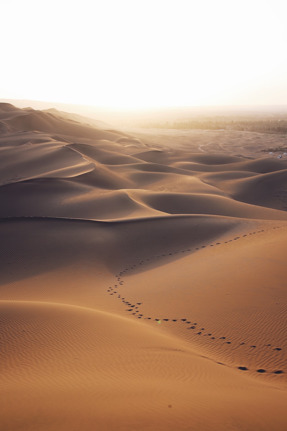 desert wallpaper