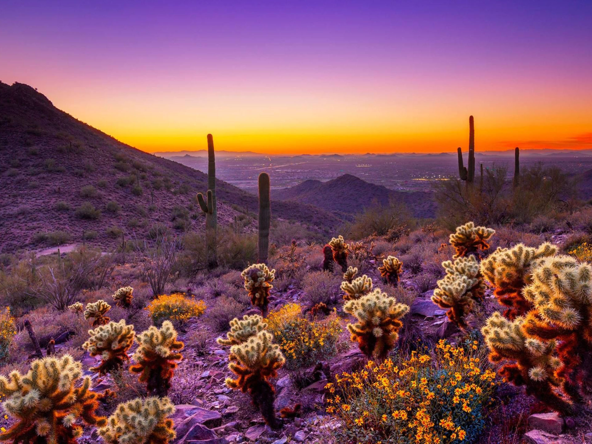 desert wallpaper
