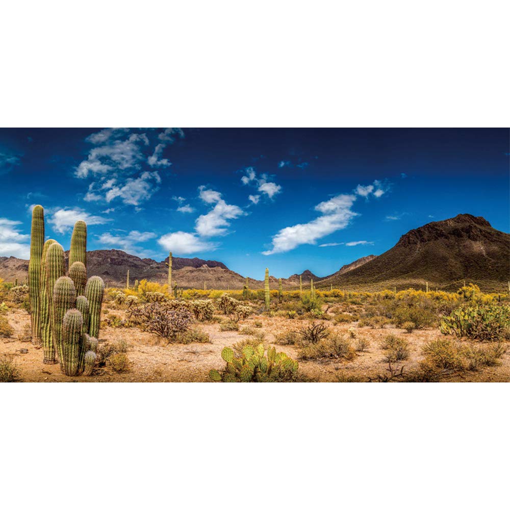 desert wallpaper