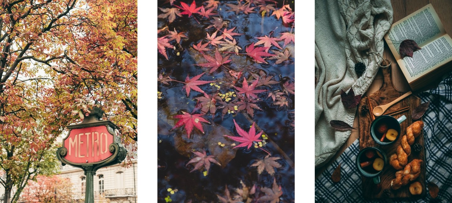 fall wallpaper