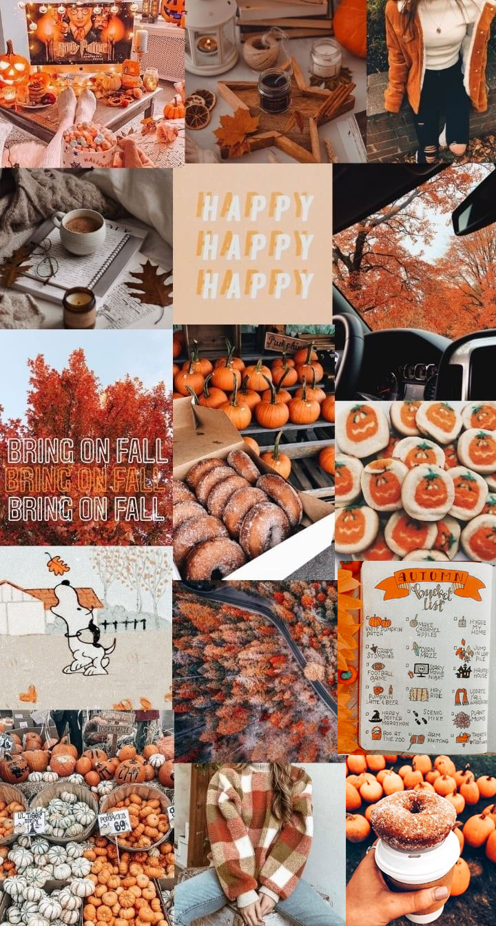 fall wallpaper