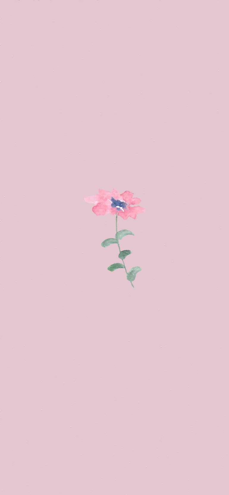 flowers wallpaper
