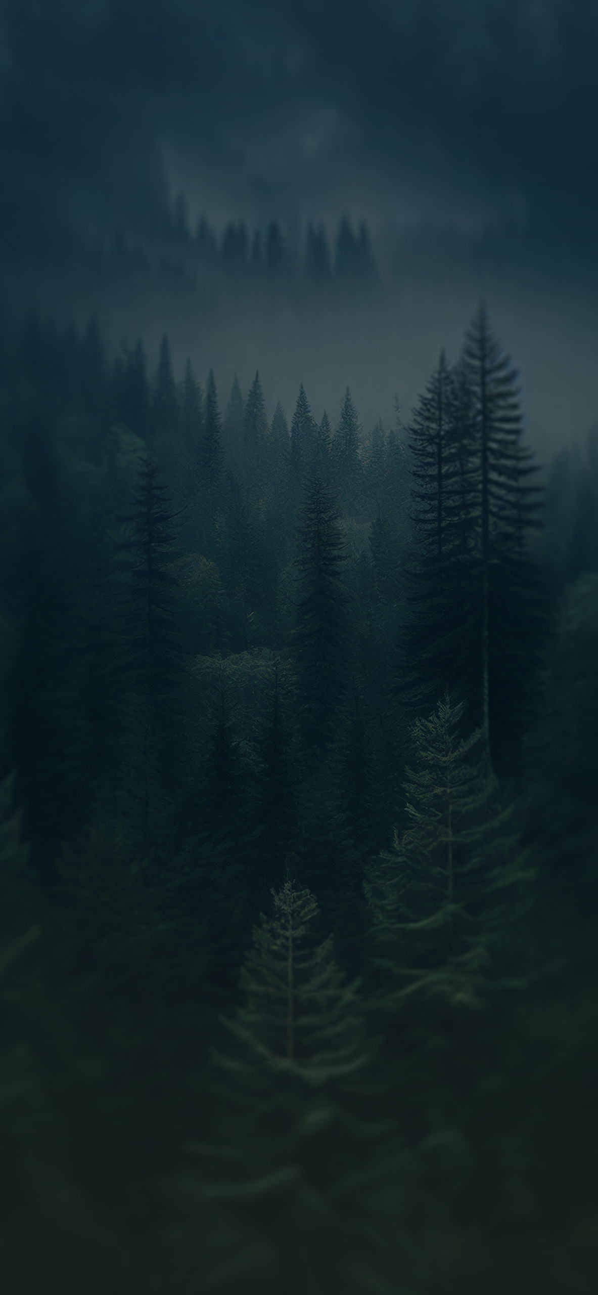 forest wallpaper