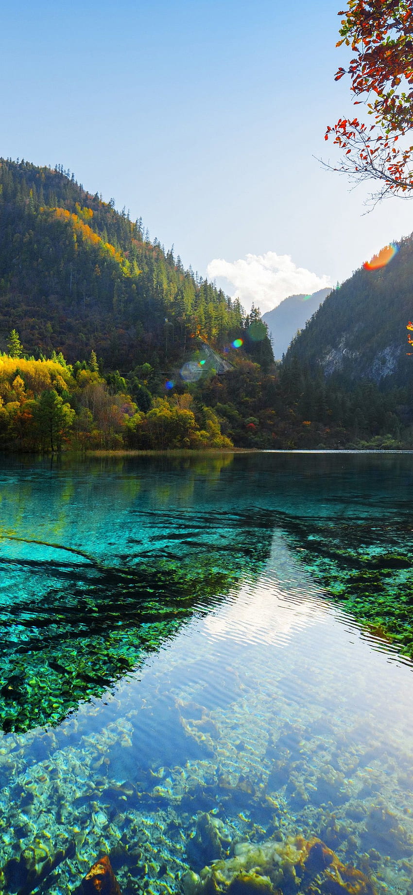 nature background