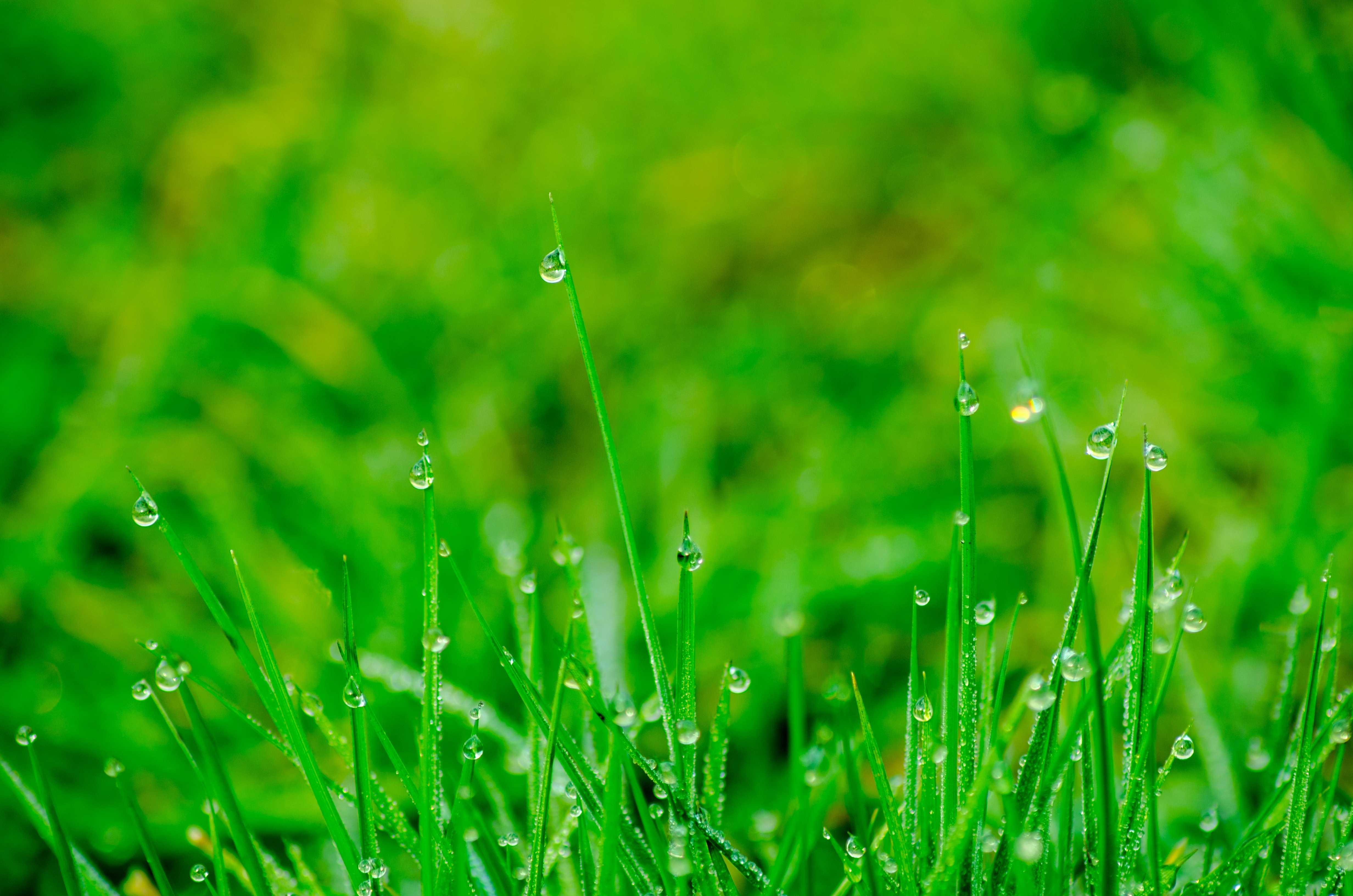 nature background