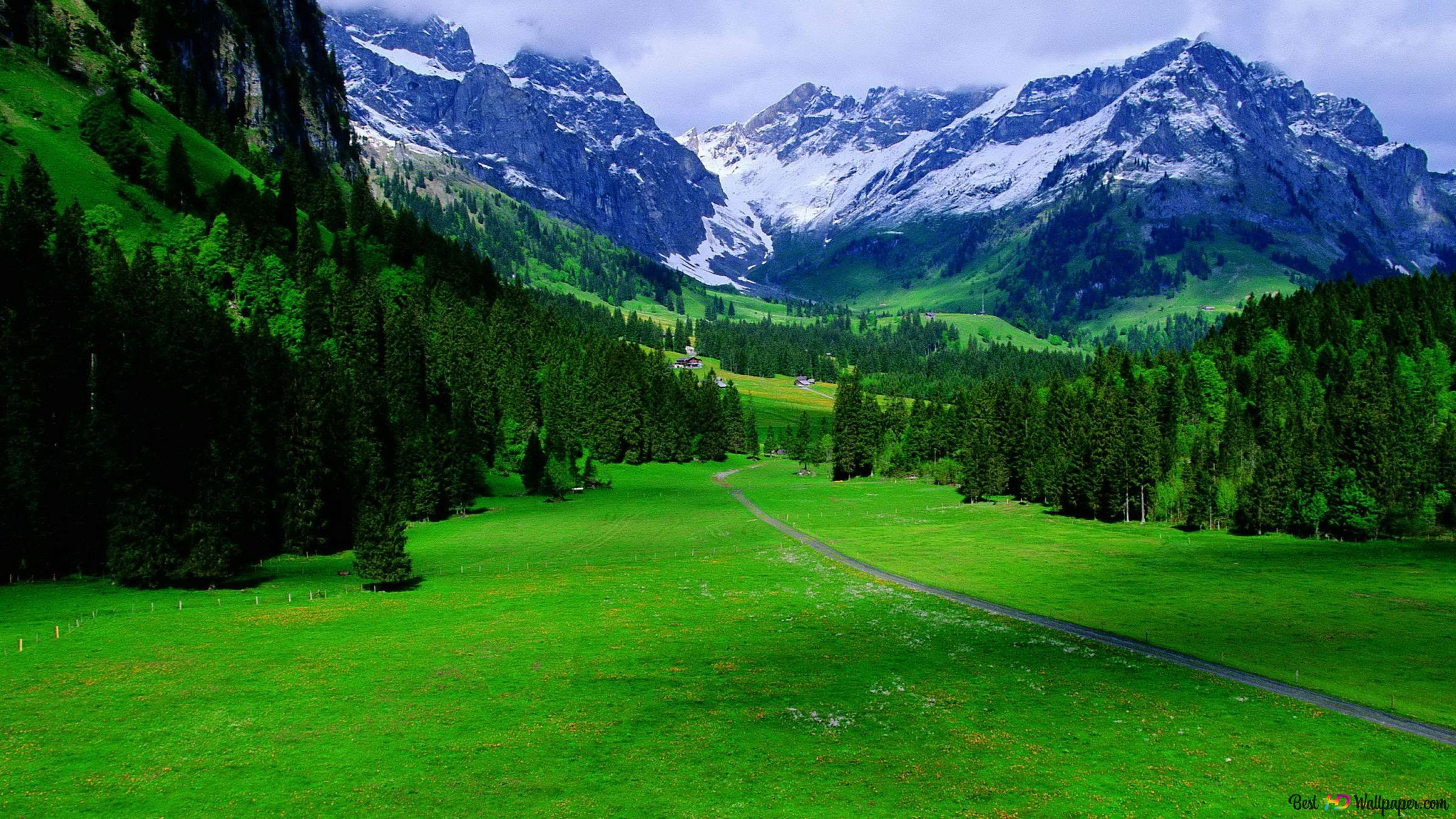 nature background