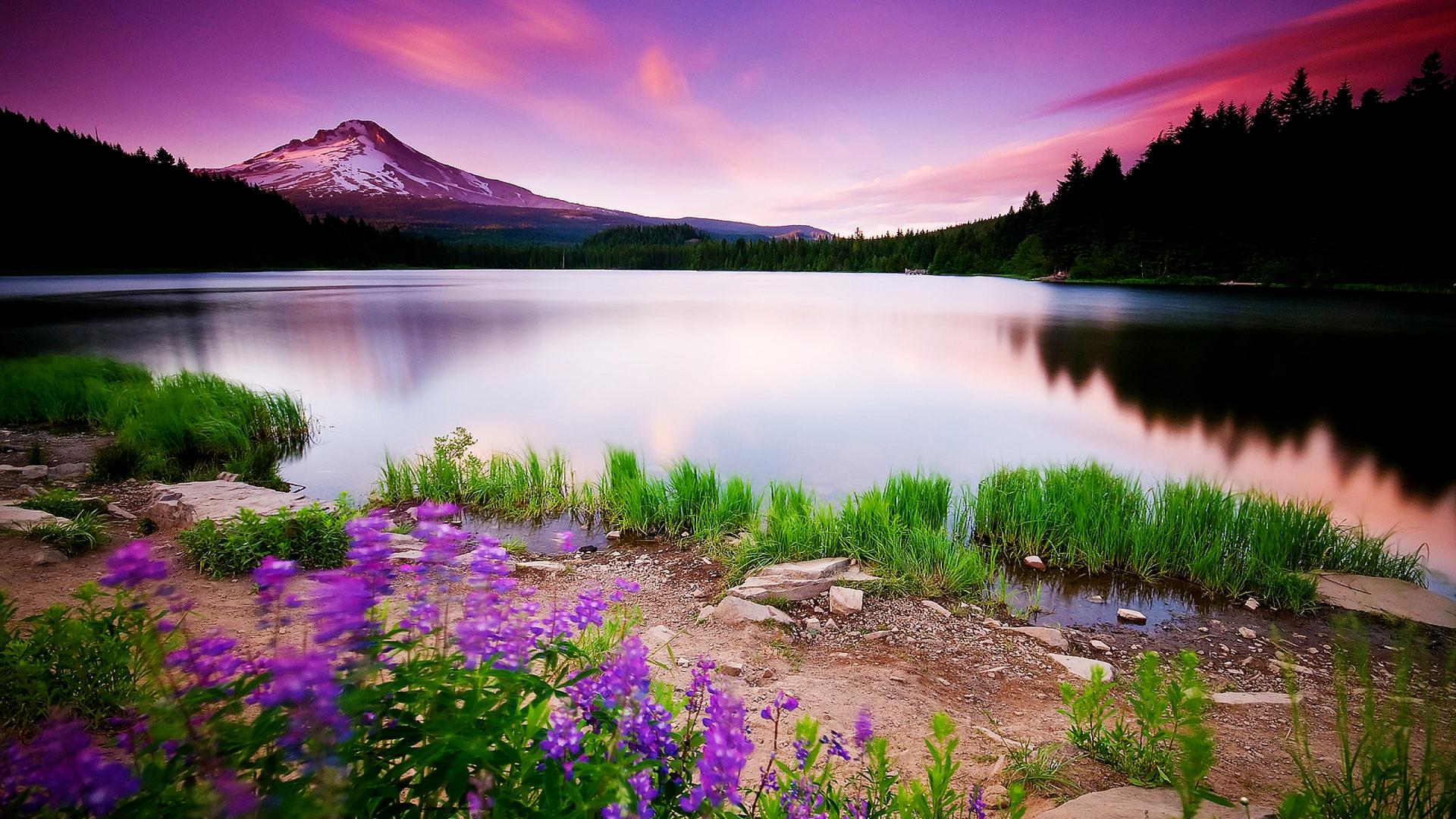 nature background