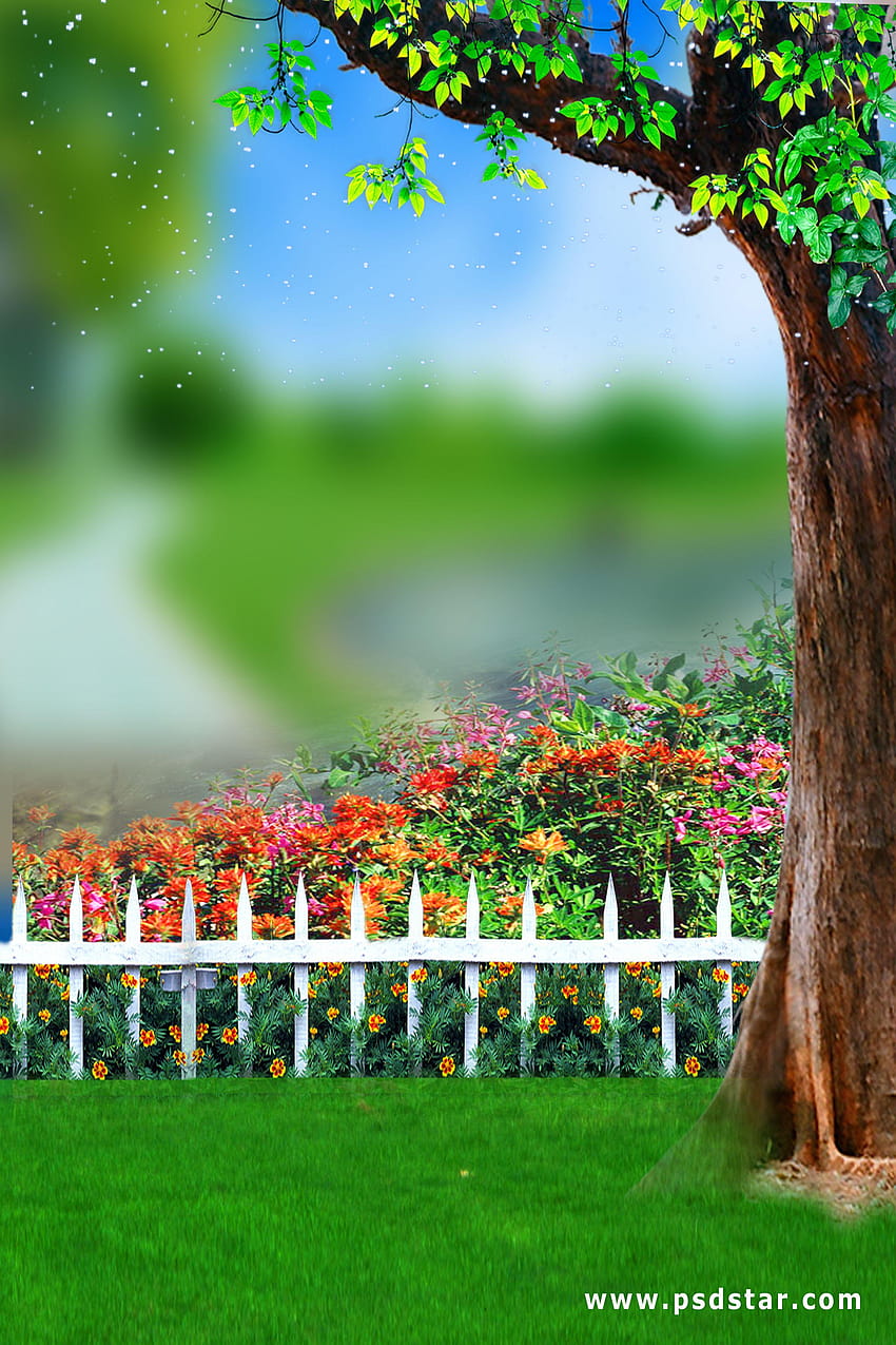 nature background