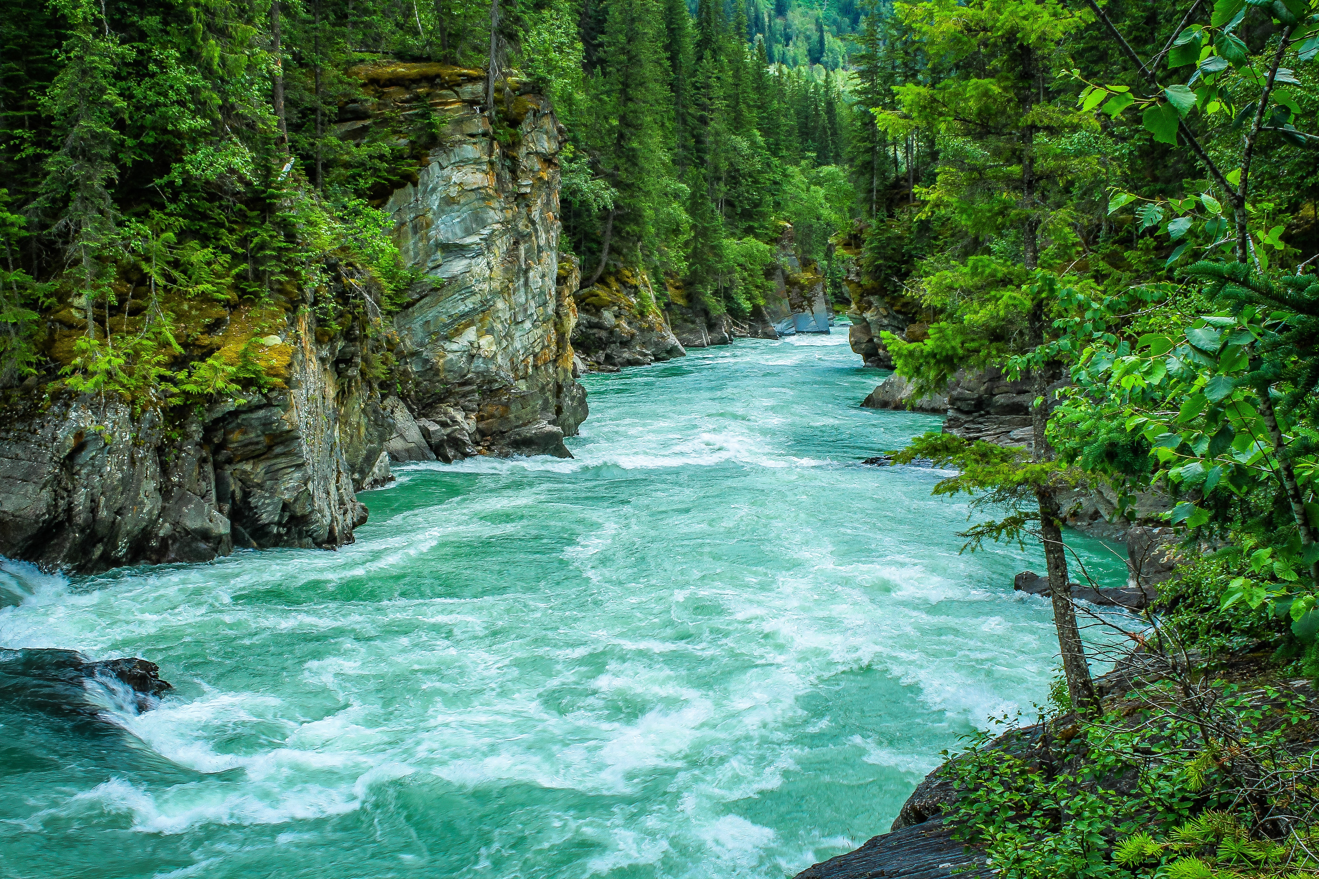 nature background