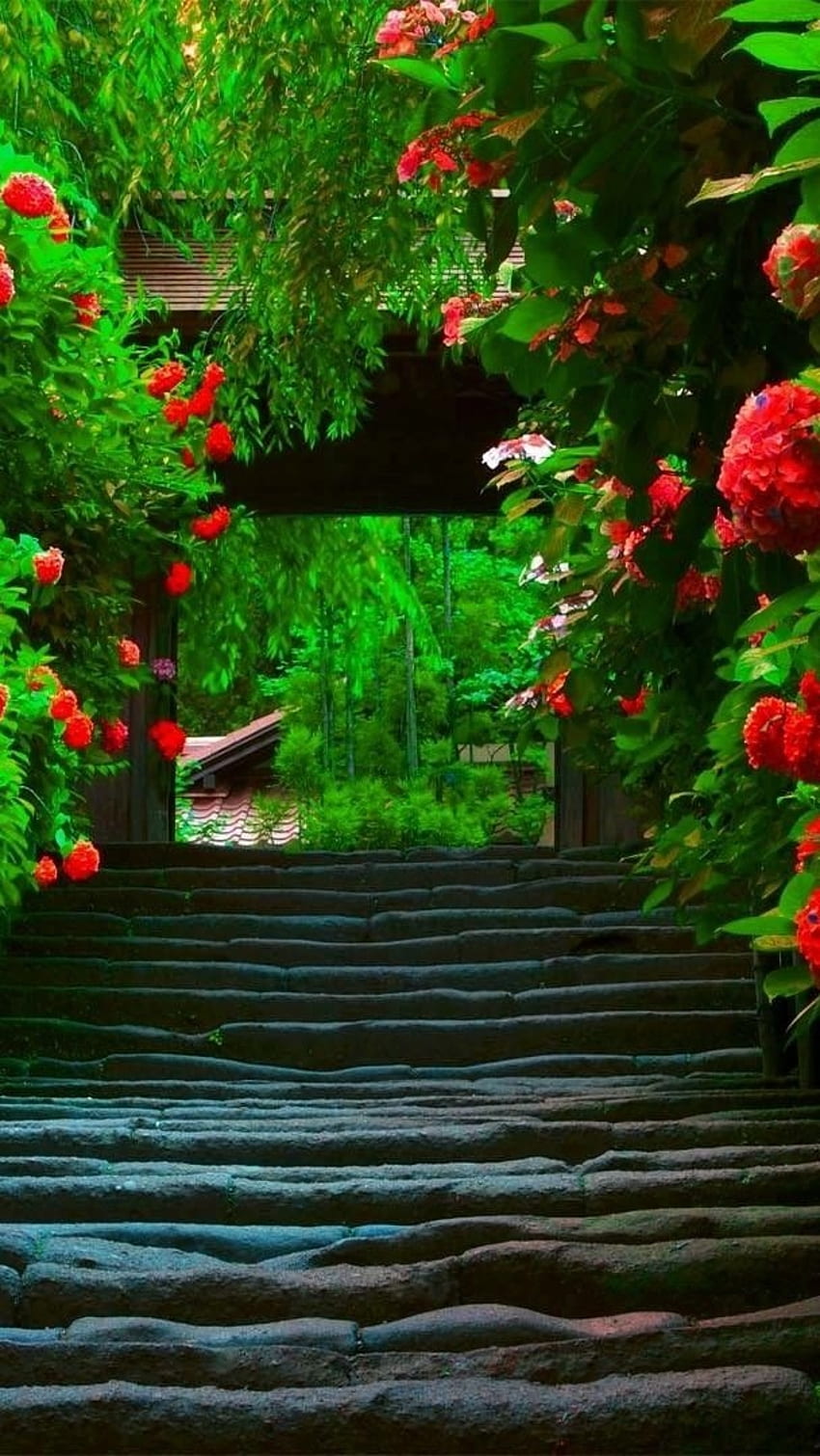 nature background