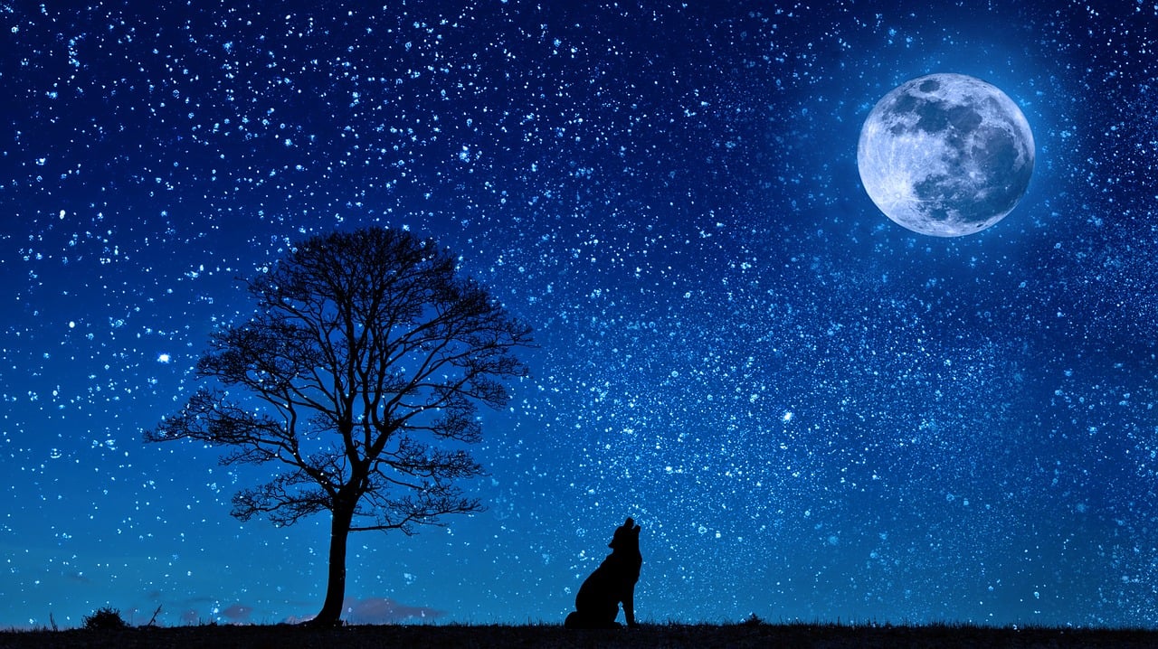 night wallpaper