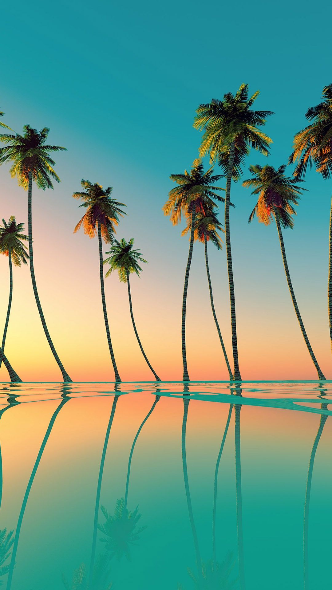 palm tree wallpaper