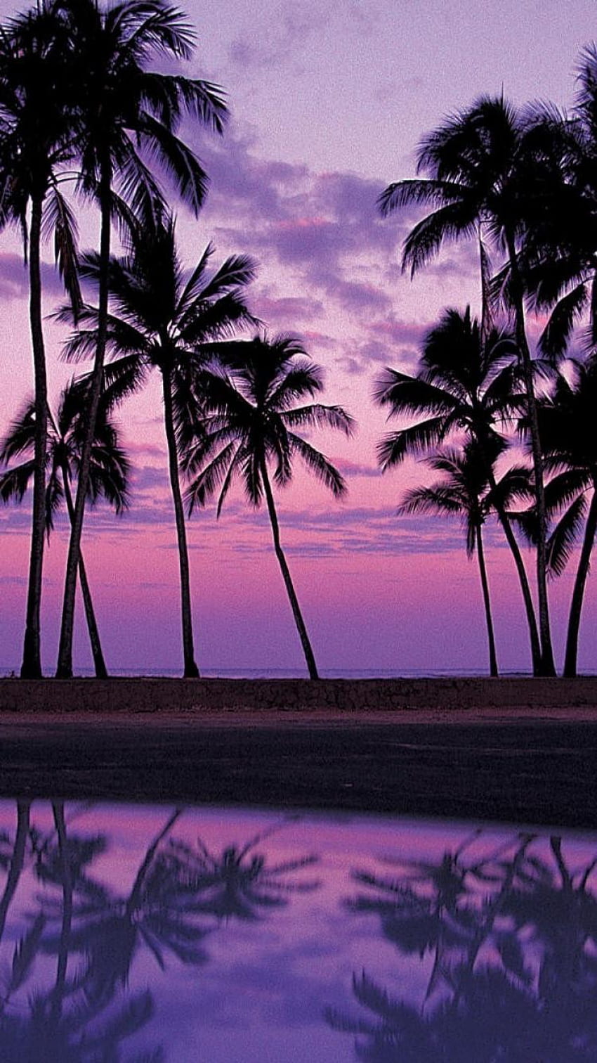 palm tree wallpaper