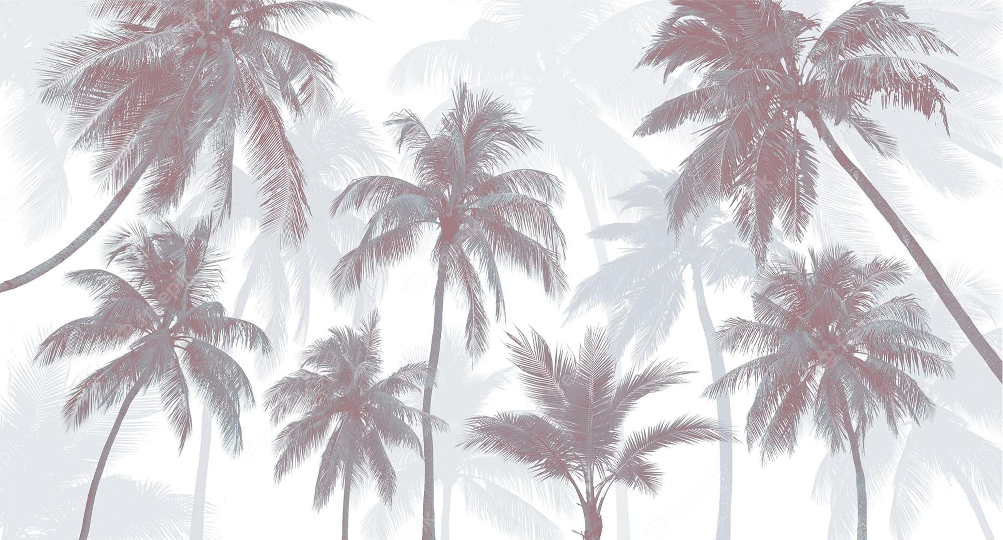 palm tree wallpaper