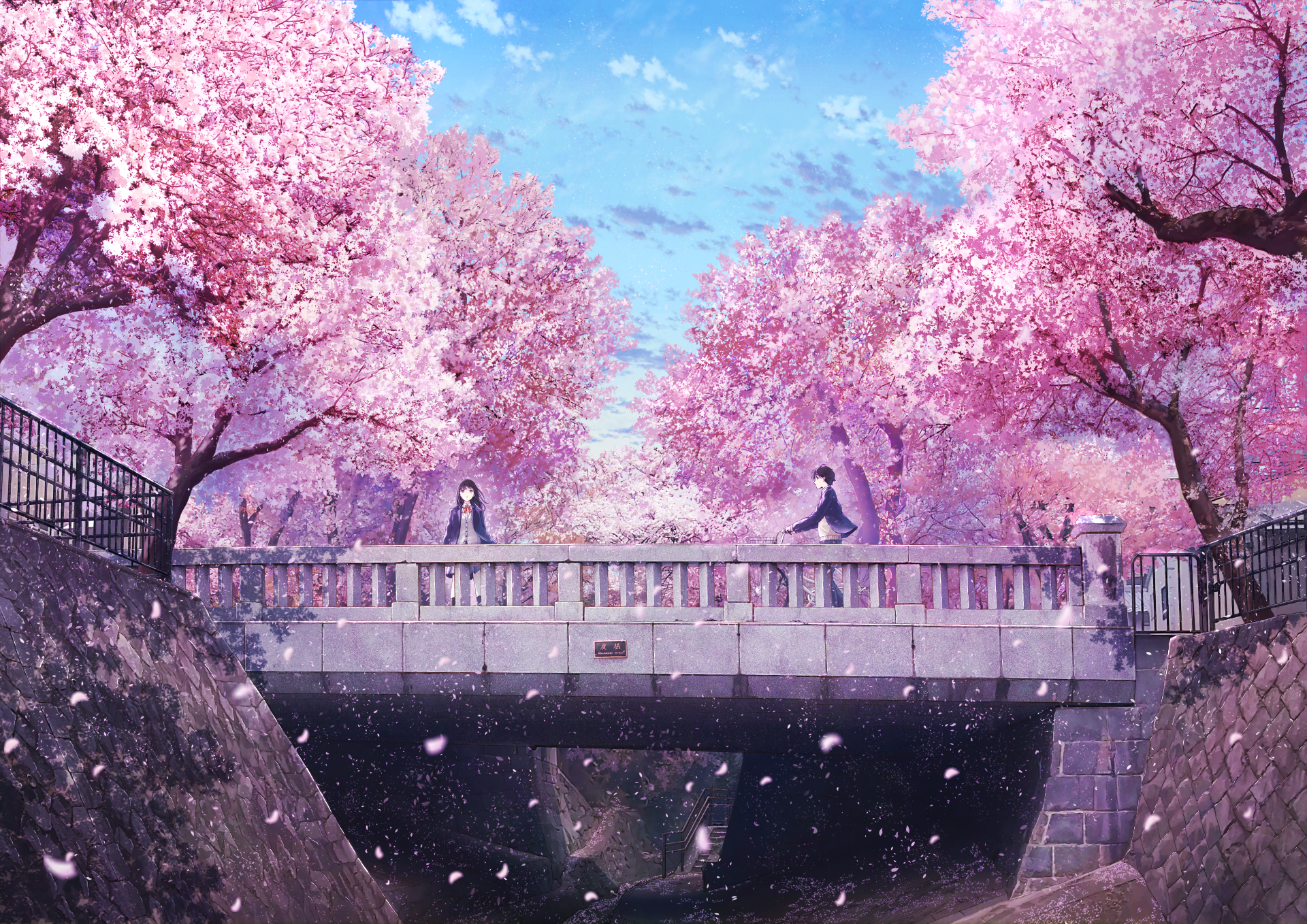 sakura wallpaper