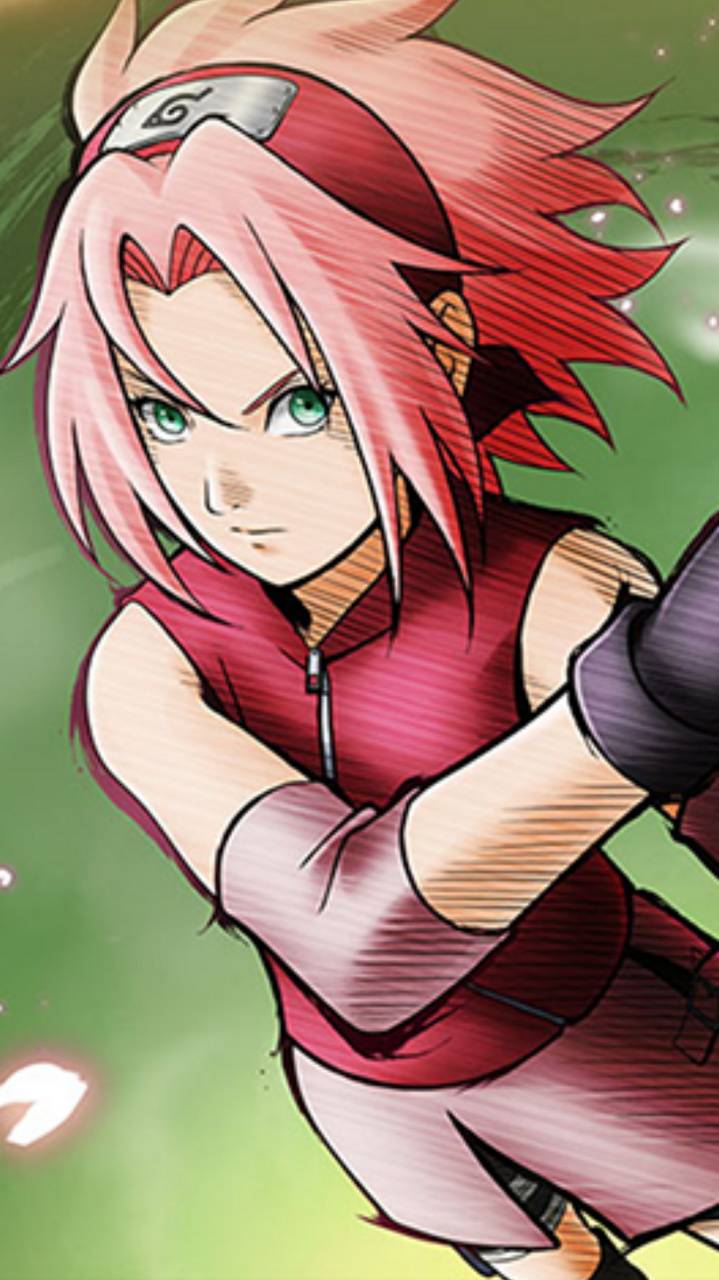 sakura wallpaper