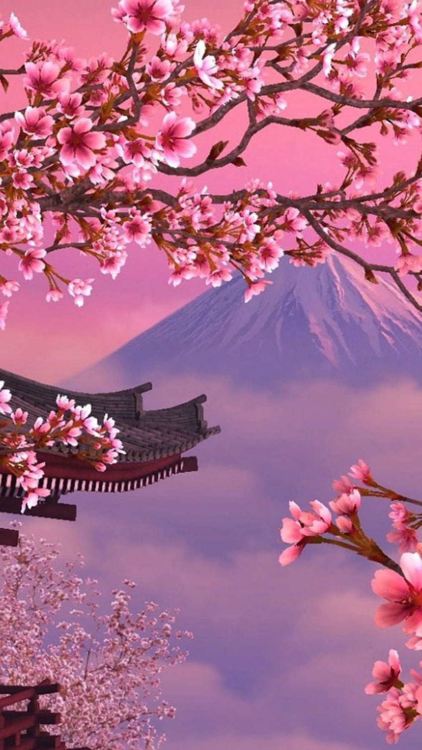 sakura wallpaper