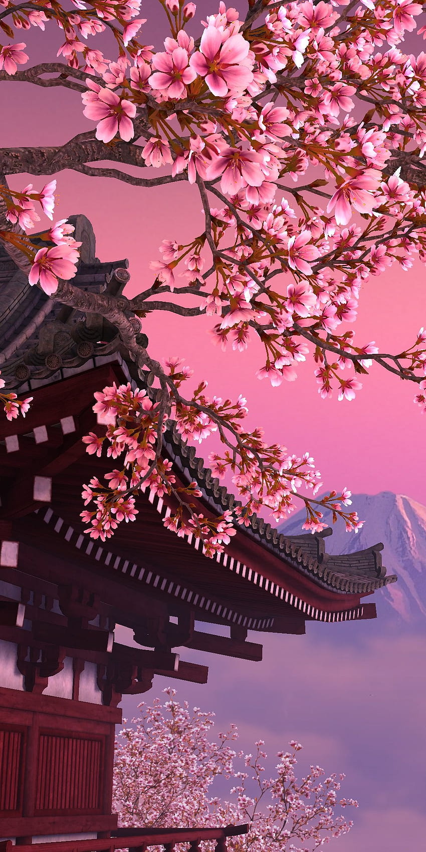 sakura wallpaper