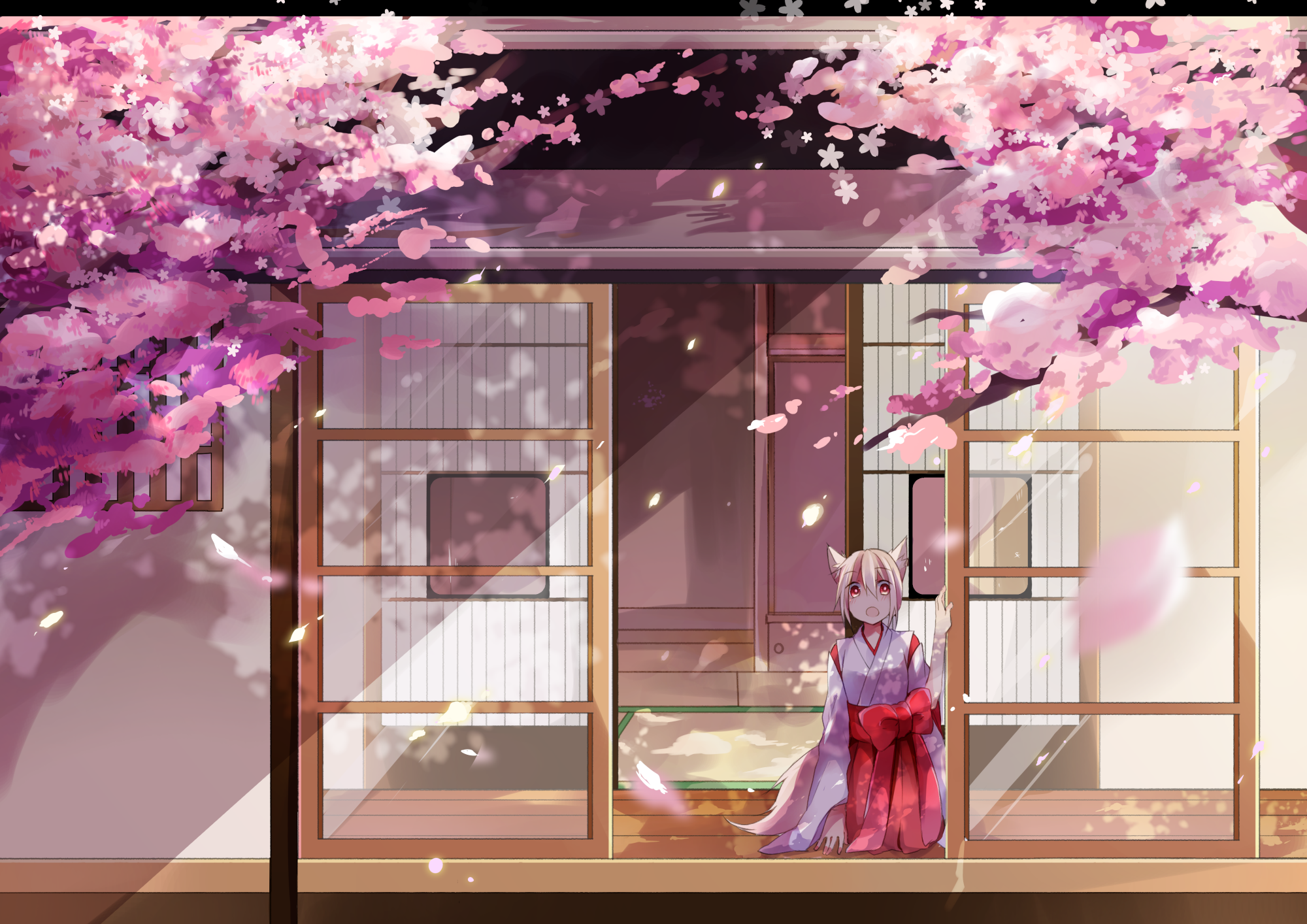 sakura wallpaper