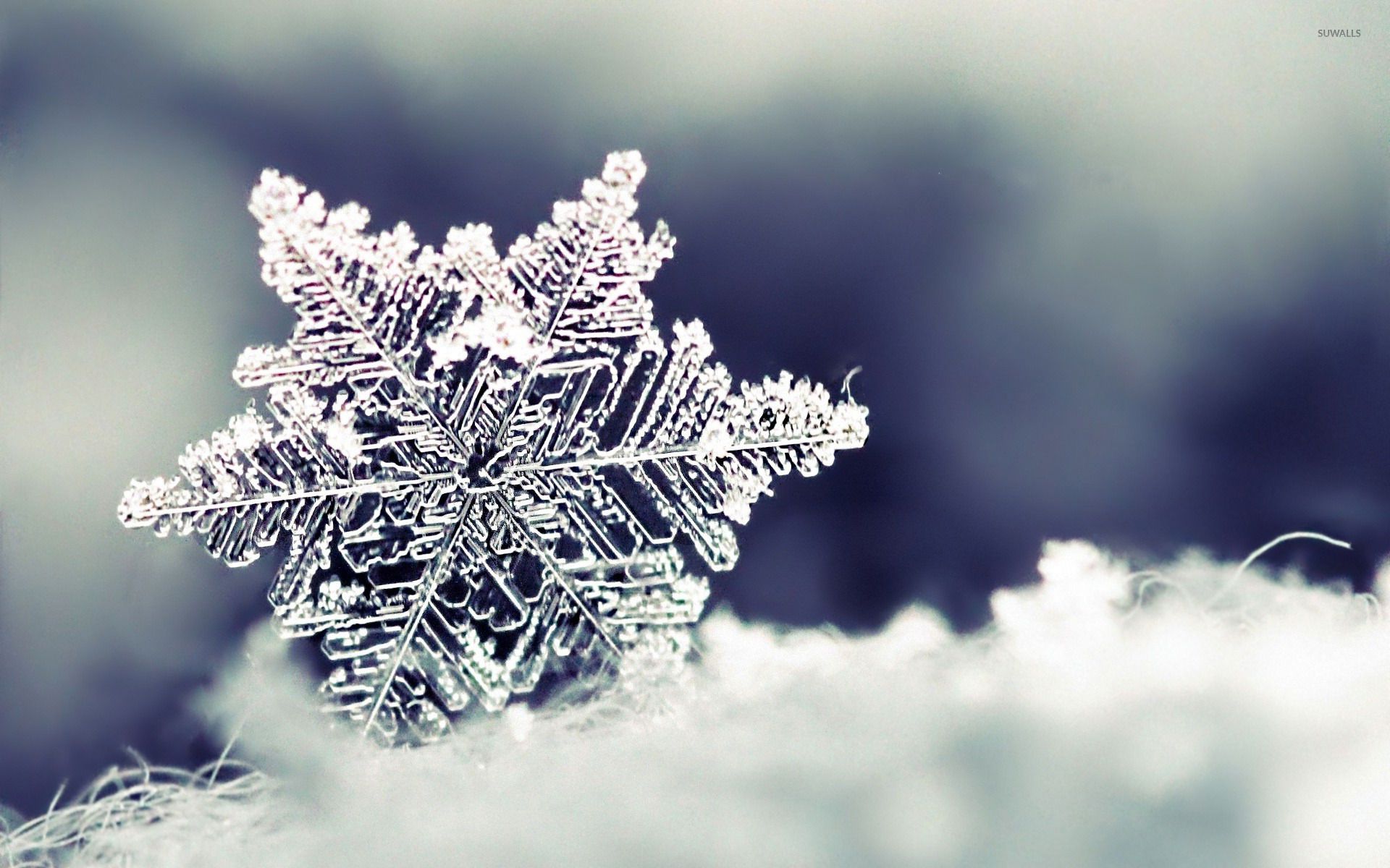 snowflake wallpaper